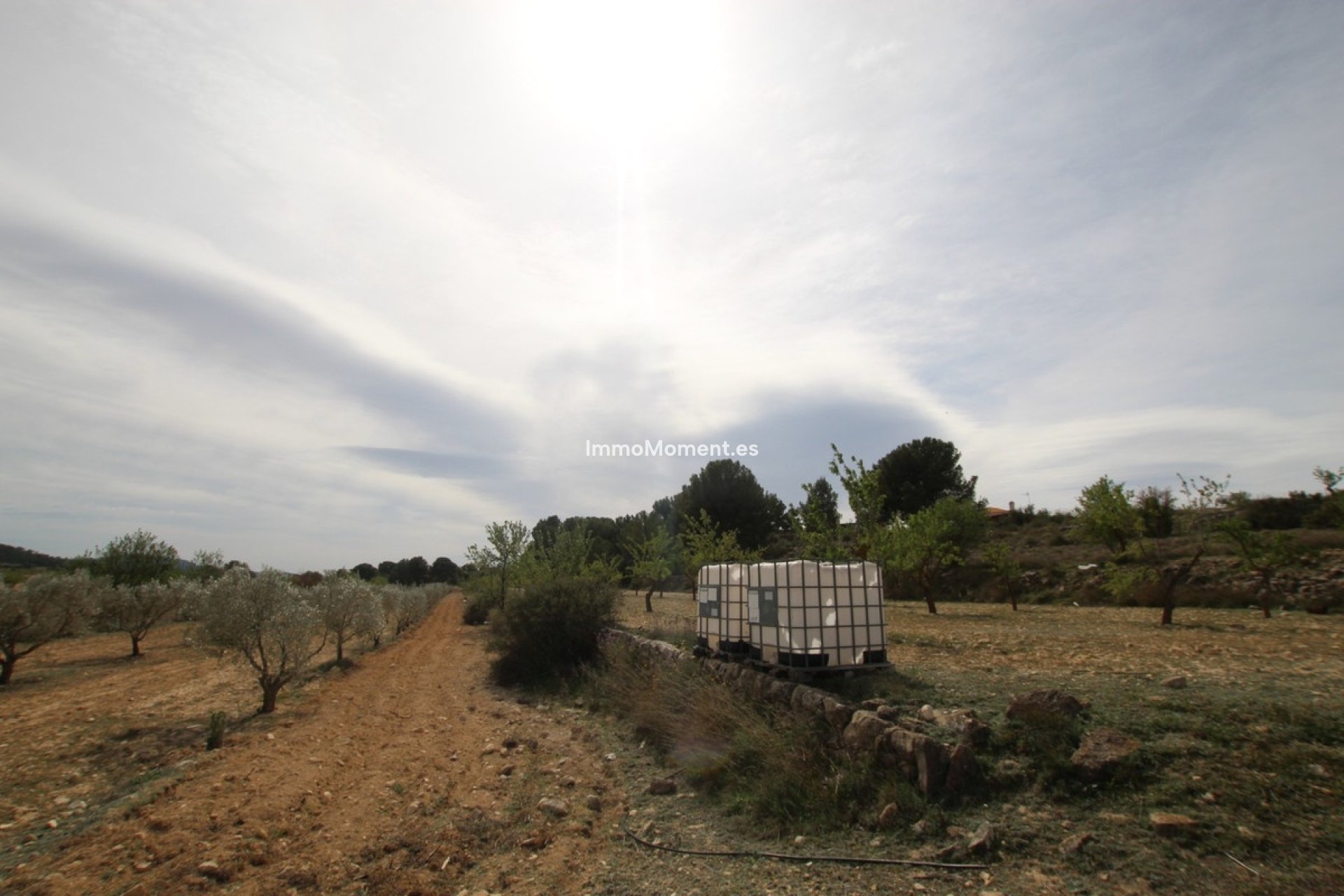 Resale - Country house - Monóvar - Monòver - Monóvar - Monòver Centro