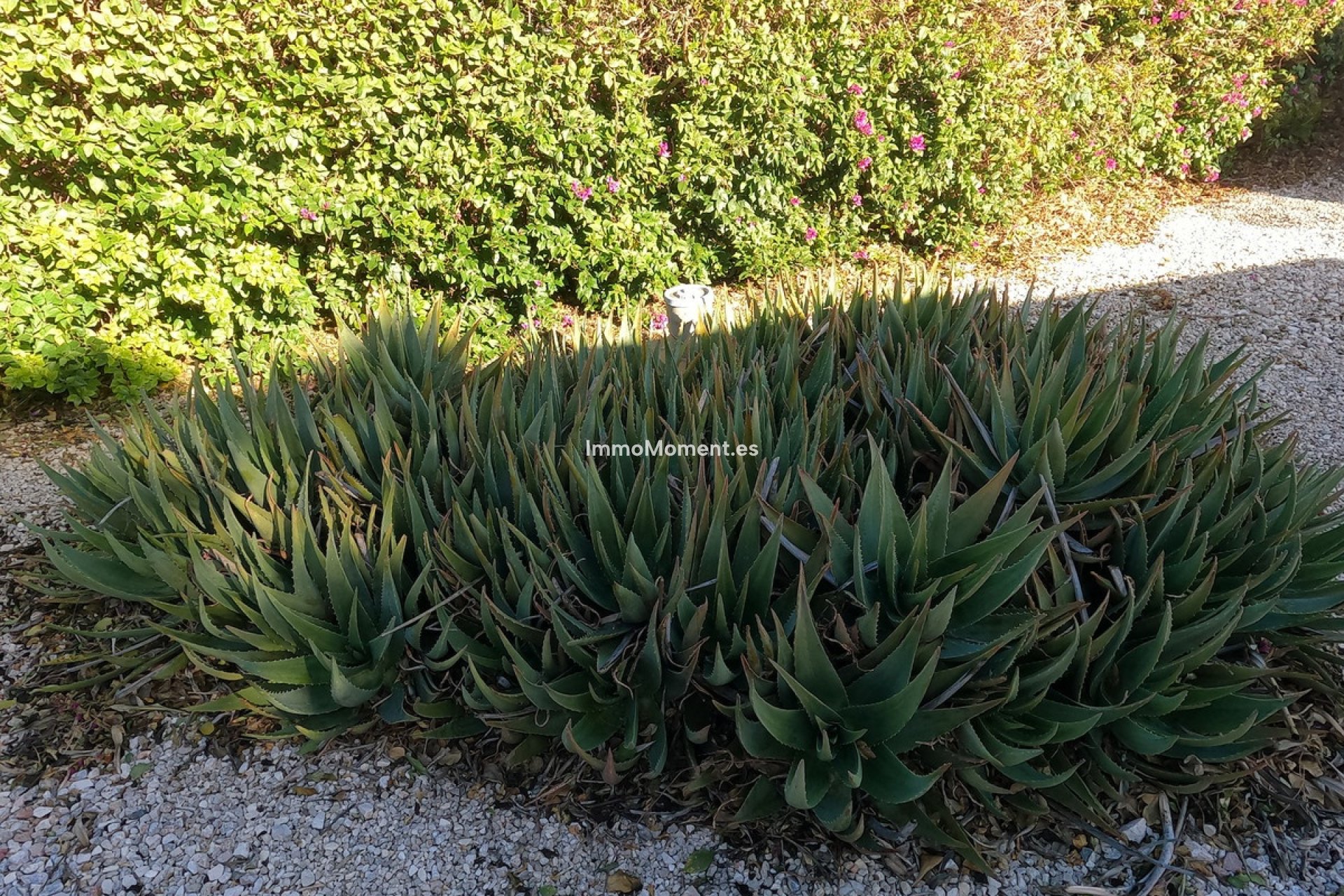 Resale - Country house - Orihuela - Orihuela Centro