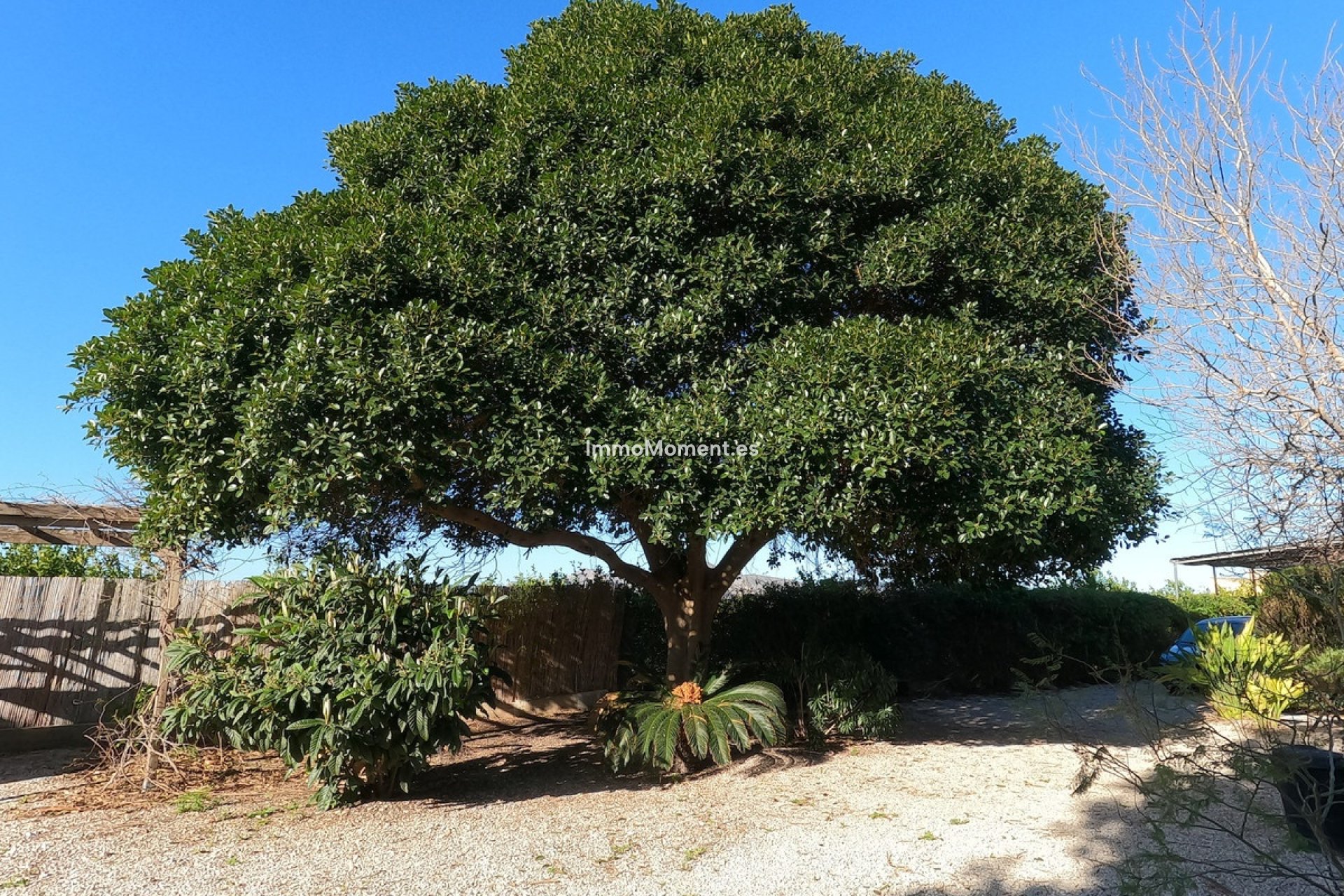 Resale - Country house - Orihuela - Orihuela Centro