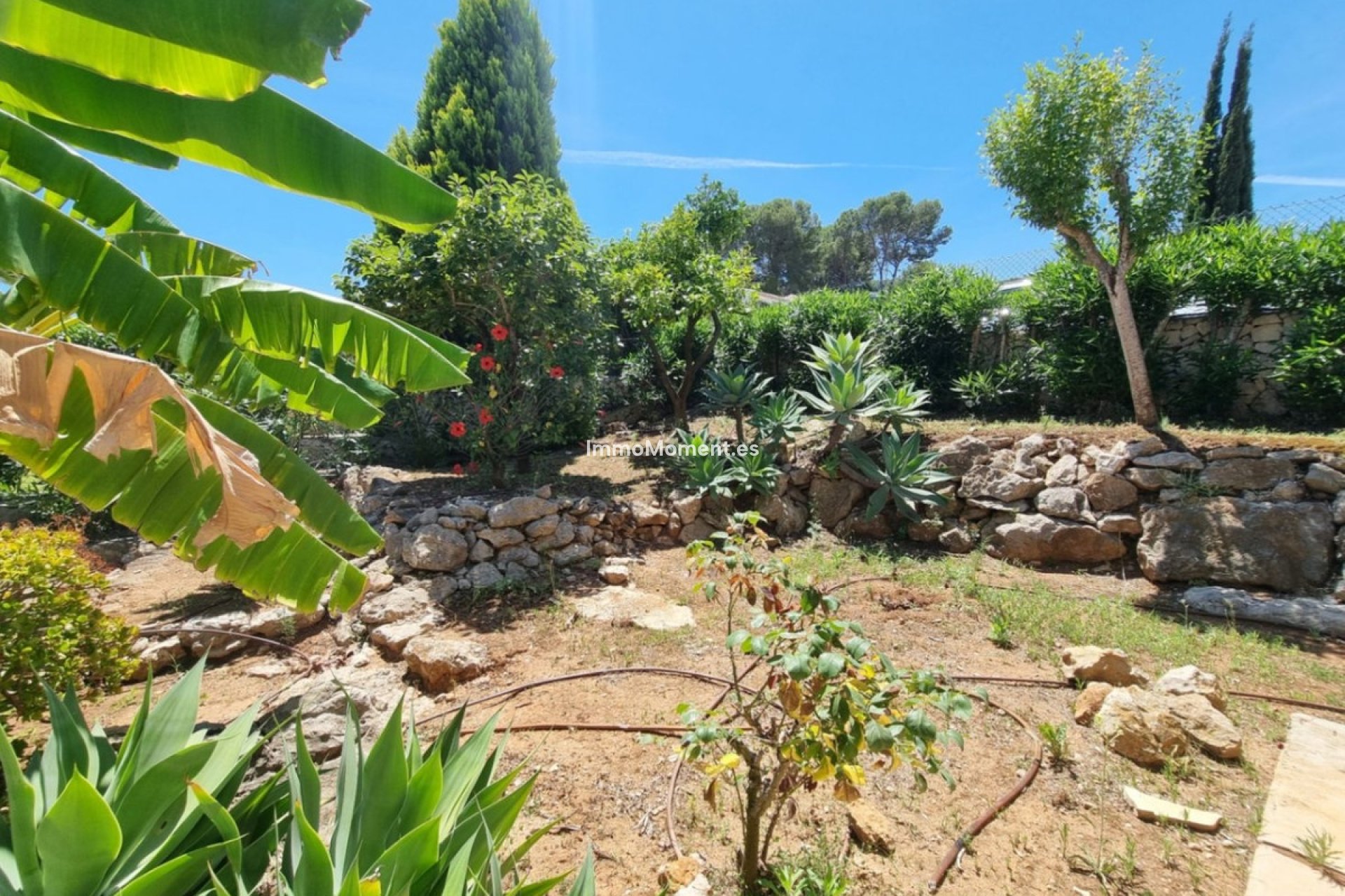 Resale - Country house - Pedreguer - Pedreguer Centro