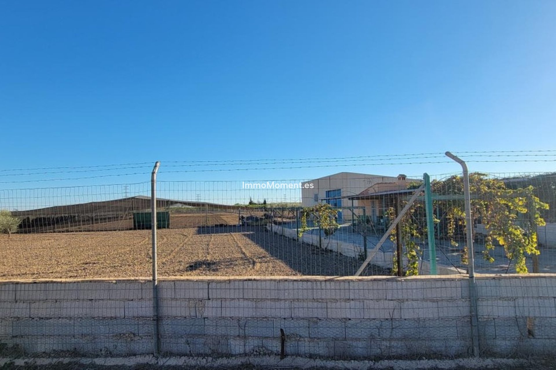 Resale - Country house - San Miguel de Salinas - San Miguel de Salinas Centro