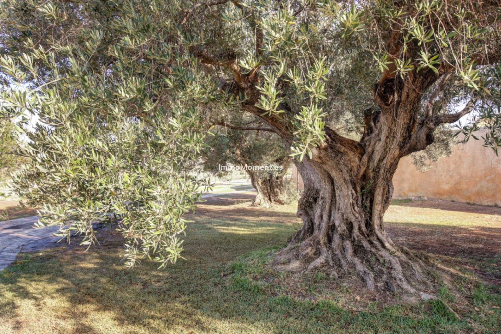 Resale - Country house - Teulada - Moraira