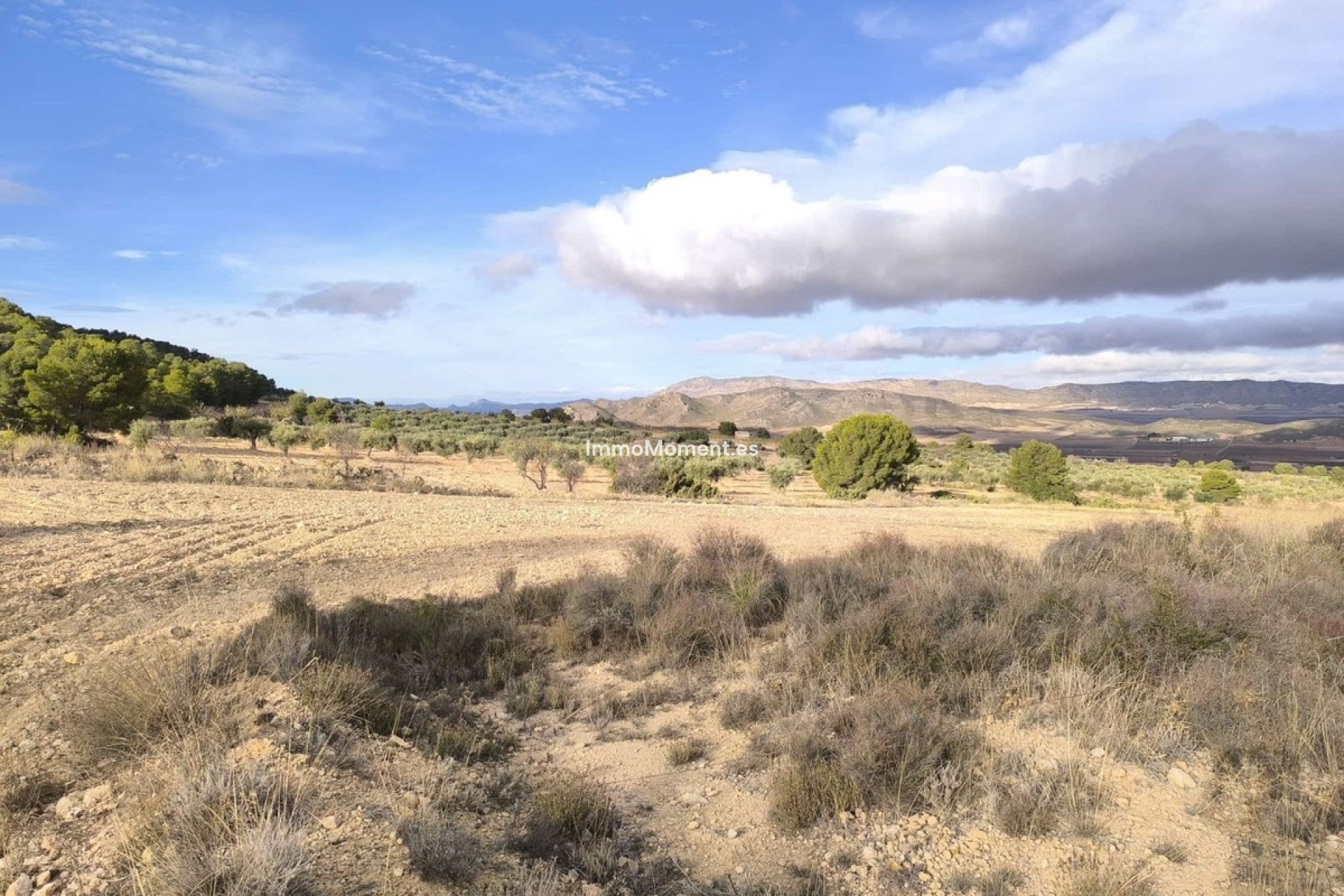 Resale - Country house - Yecla - Yecla Centro