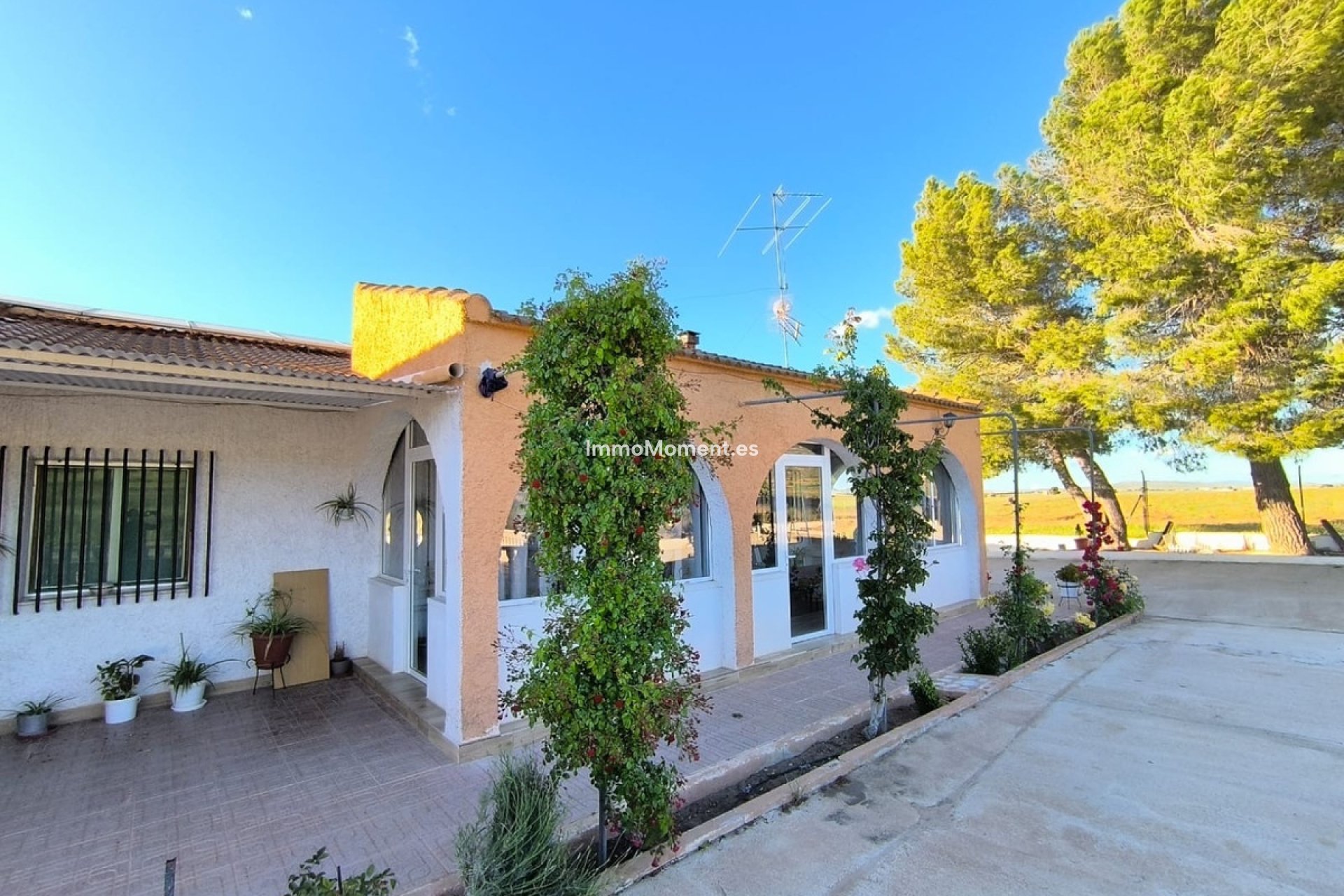 Resale - Country house - Yecla - Yecla Centro