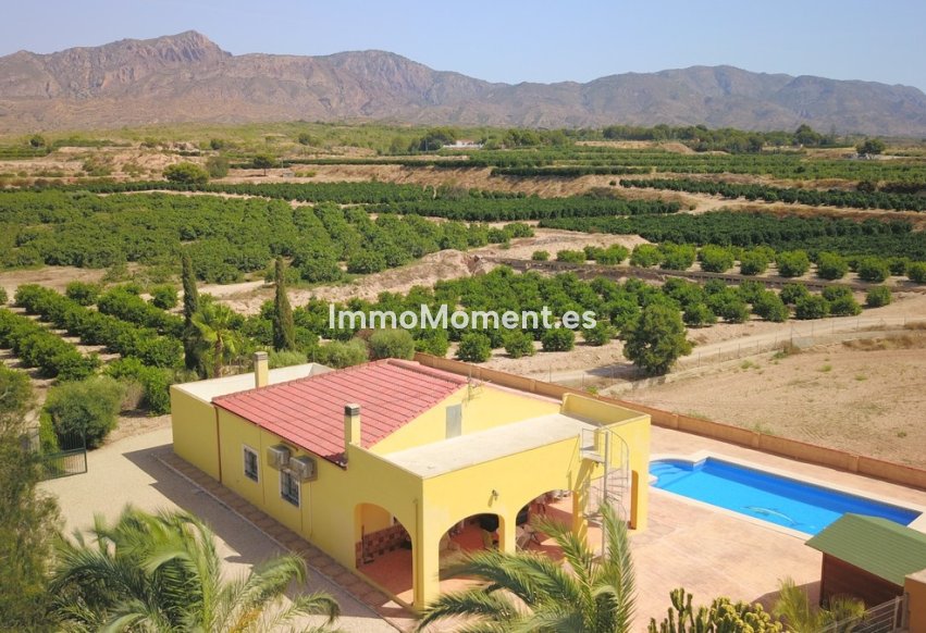 Resale - Detached villa - Albatera - Albatera Centro