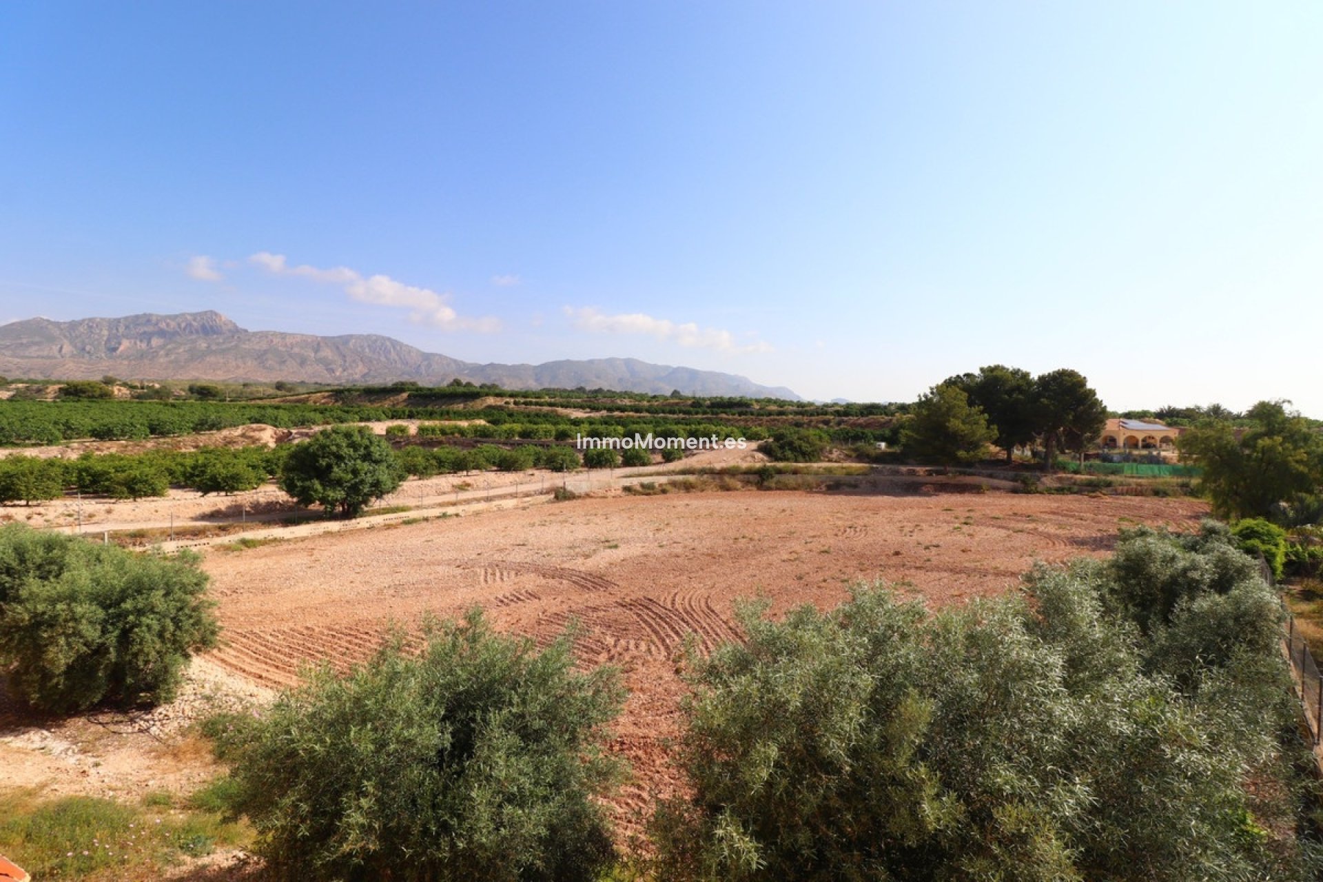 Resale - Detached villa - Albatera - Albatera Centro