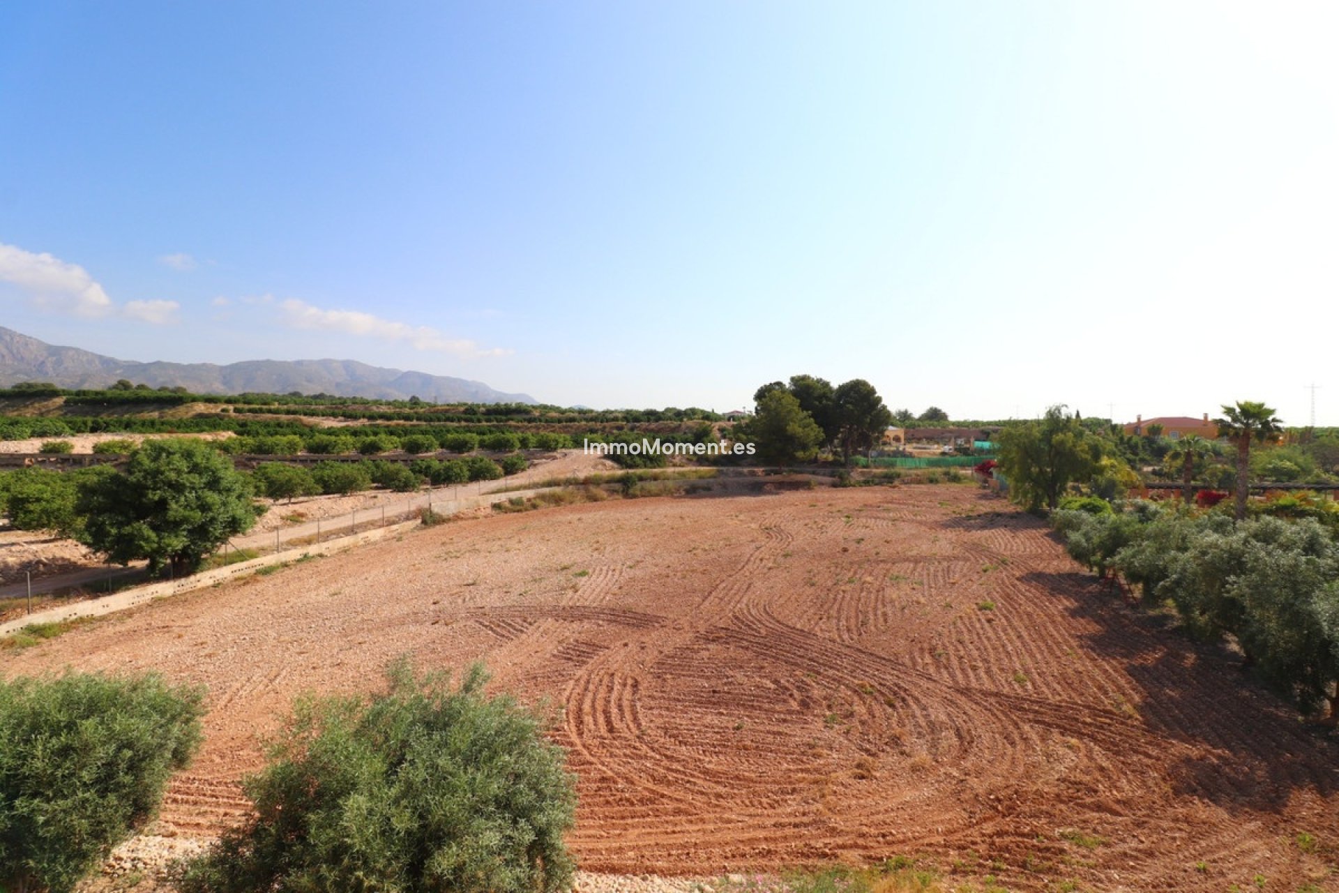 Resale - Detached villa - Albatera - Albatera Centro