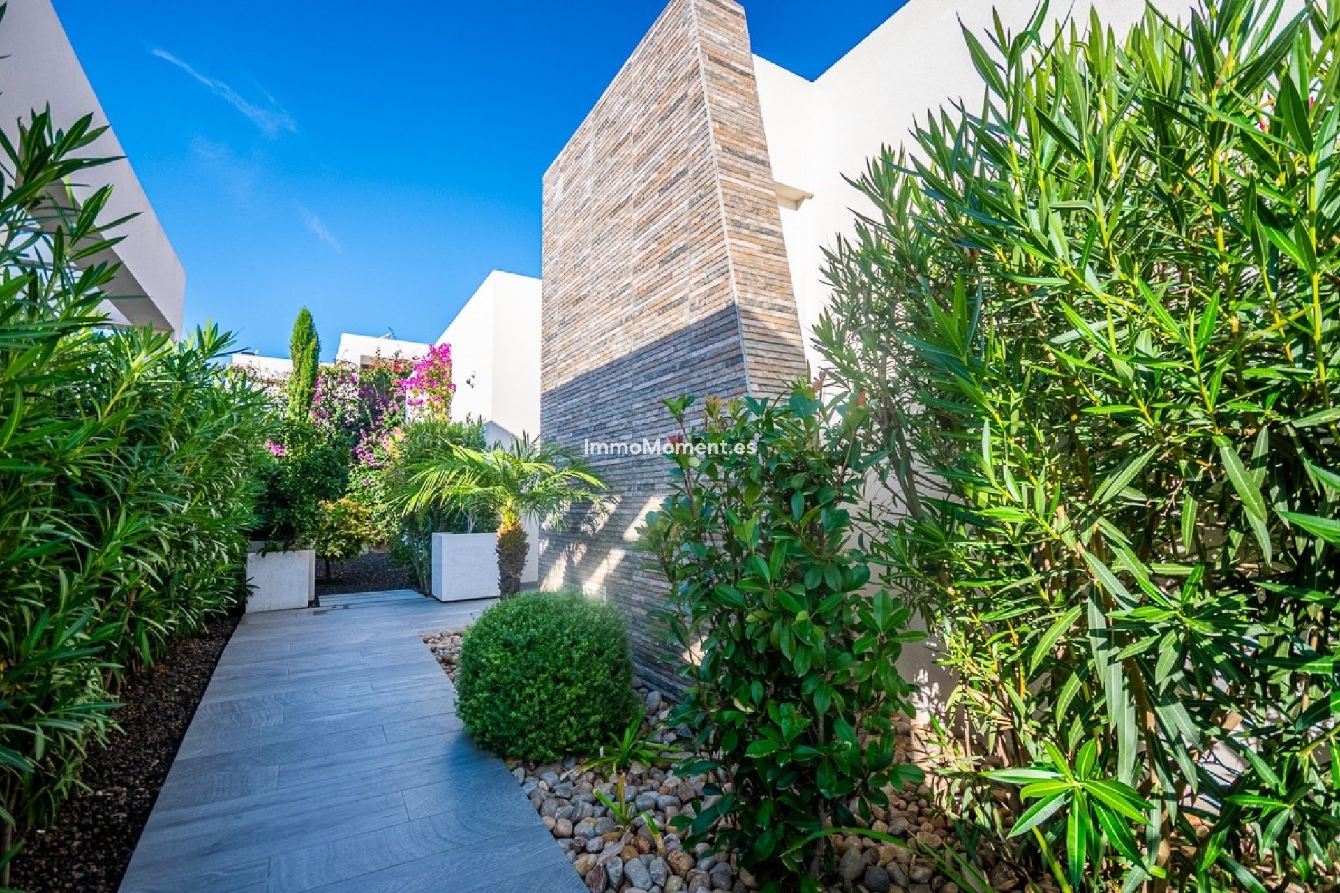 Resale - Detached villa - Algorfa - Algorfa Centro