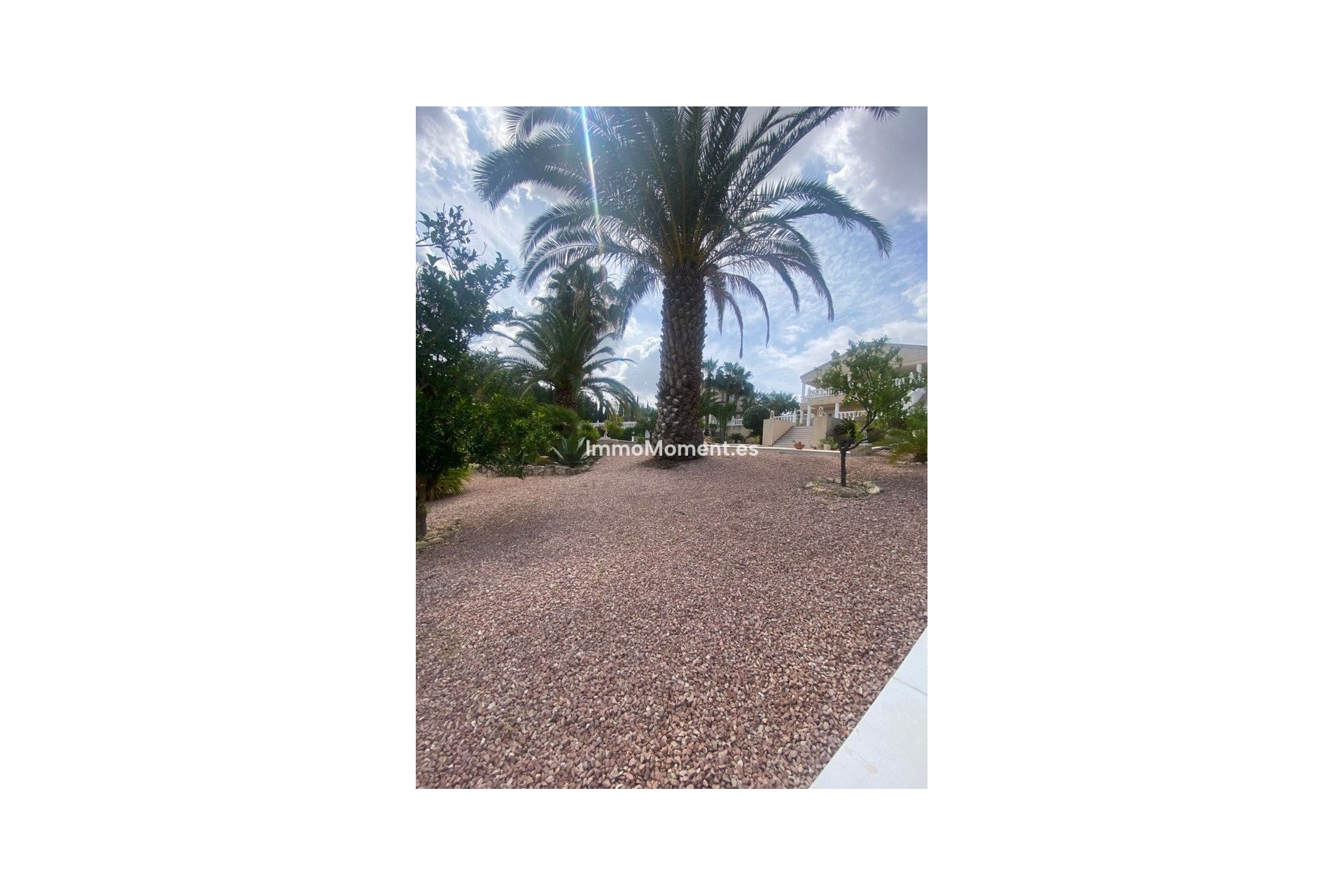 Resale - Detached villa - Algorfa - Algorfa Centro