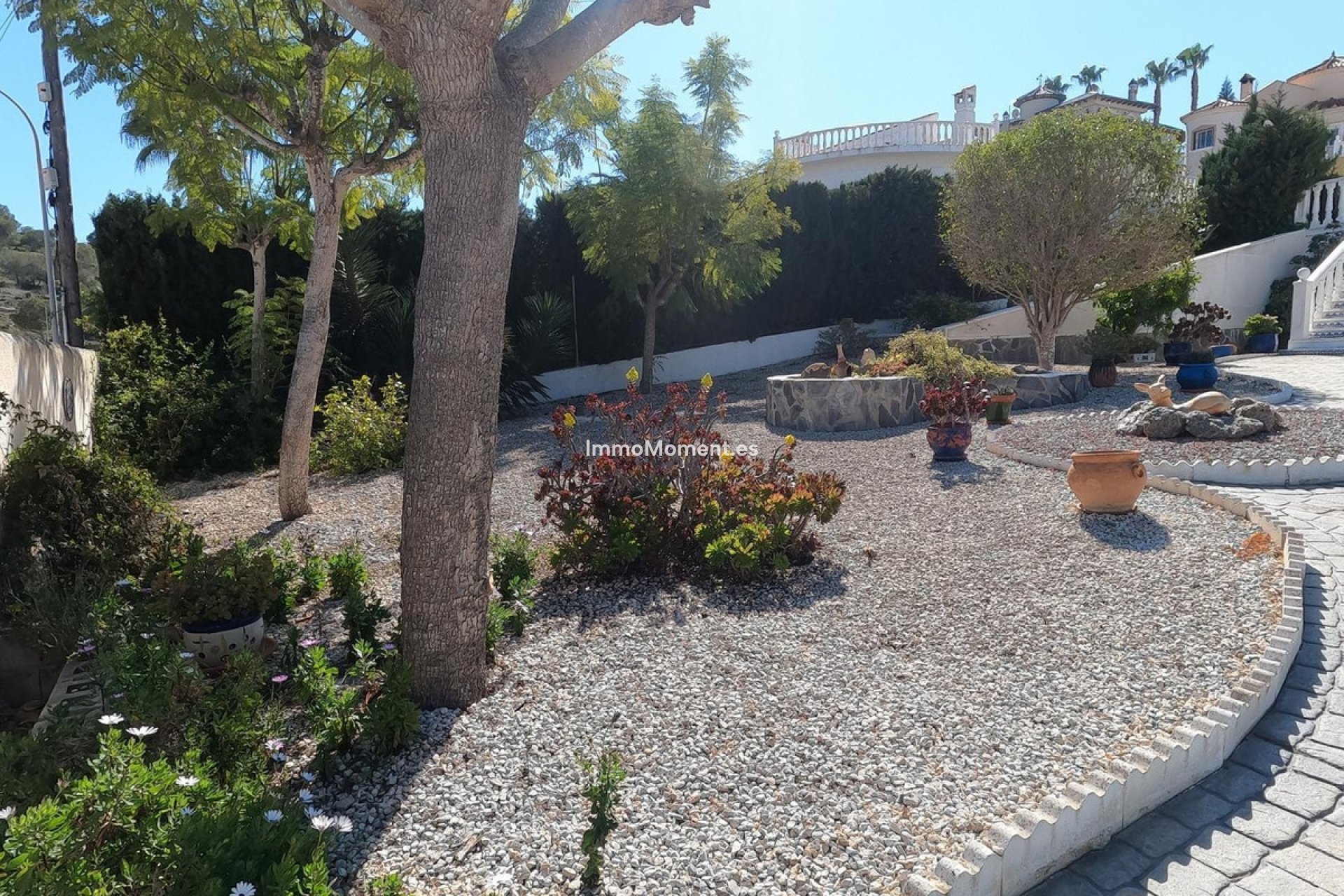 Resale - Detached villa - Algorfa - Algorfa Centro