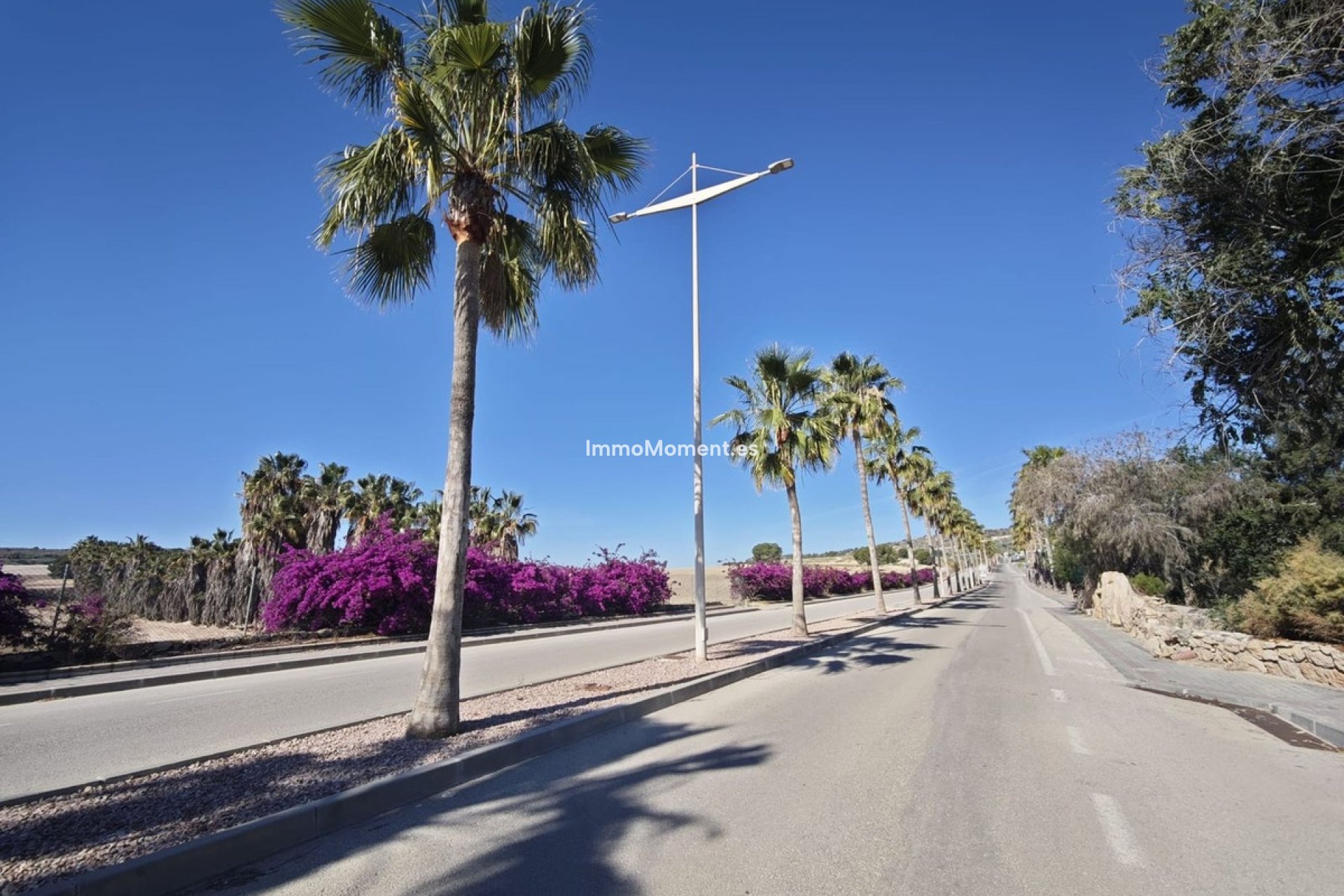 Resale - Detached villa - Algorfa - Algorfa Centro