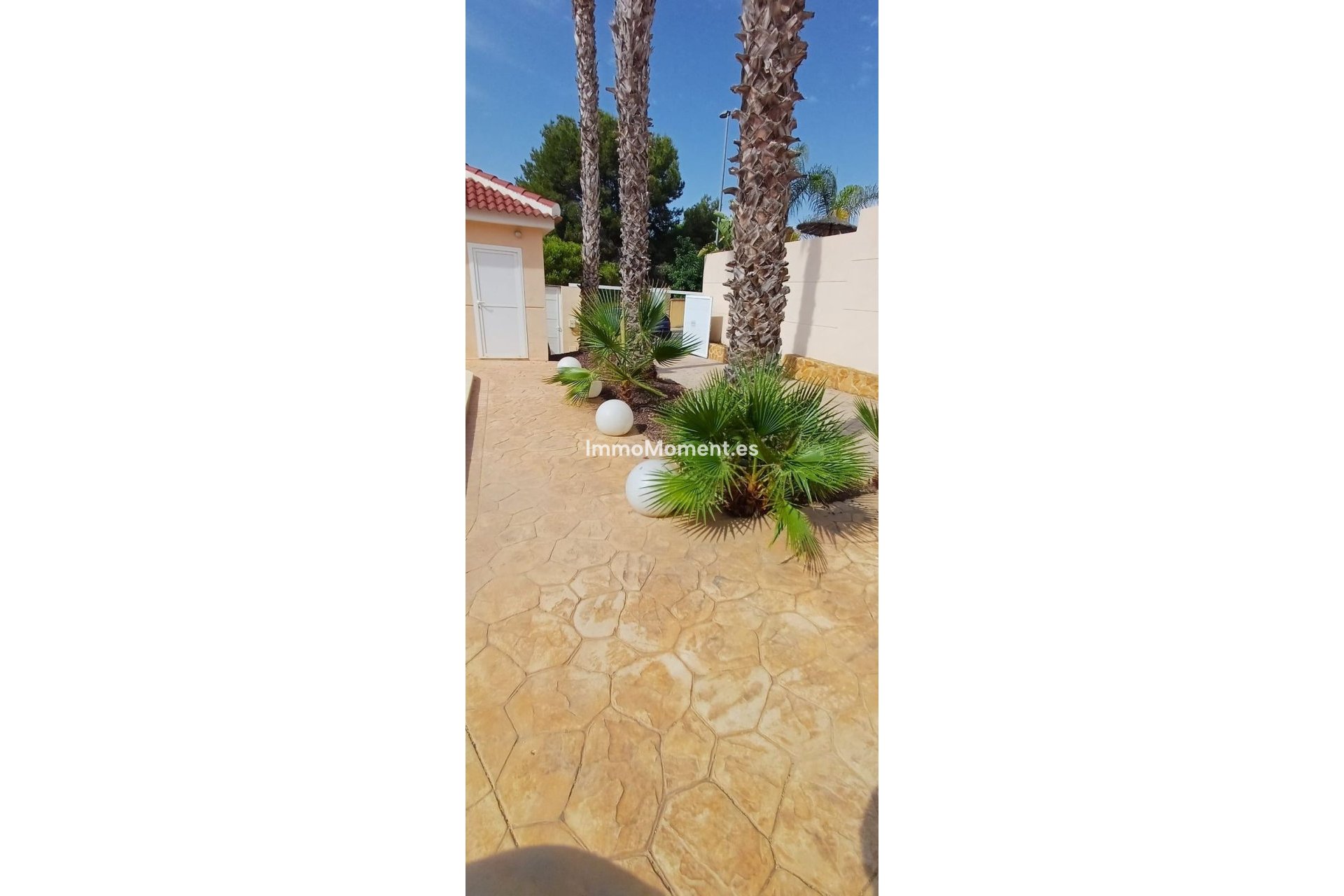 Resale - Detached villa - Algorfa - Algorfa Centro