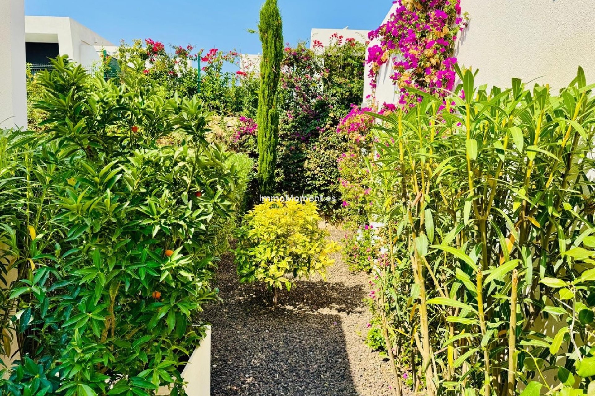Resale - Detached villa - Algorfa - La Finca Golf