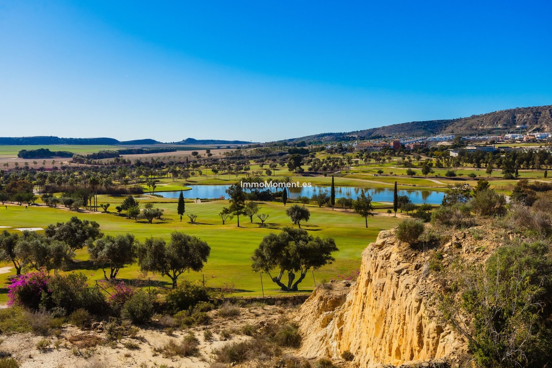 Resale - Detached villa - Algorfa - La Finca Golf