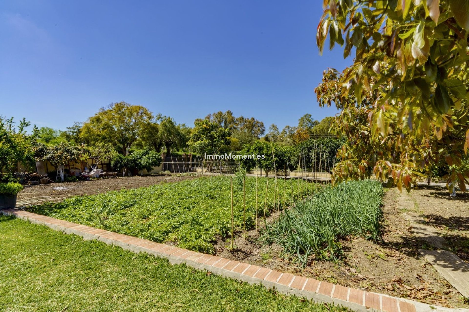 Resale - Detached villa - Benahavís - La Quinta