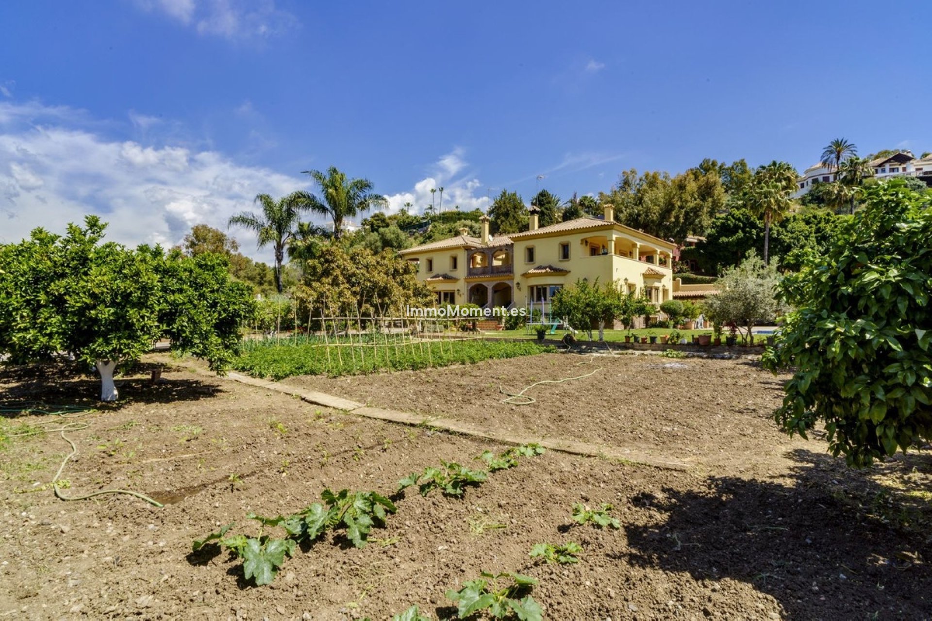 Resale - Detached villa - Benahavís - La Quinta