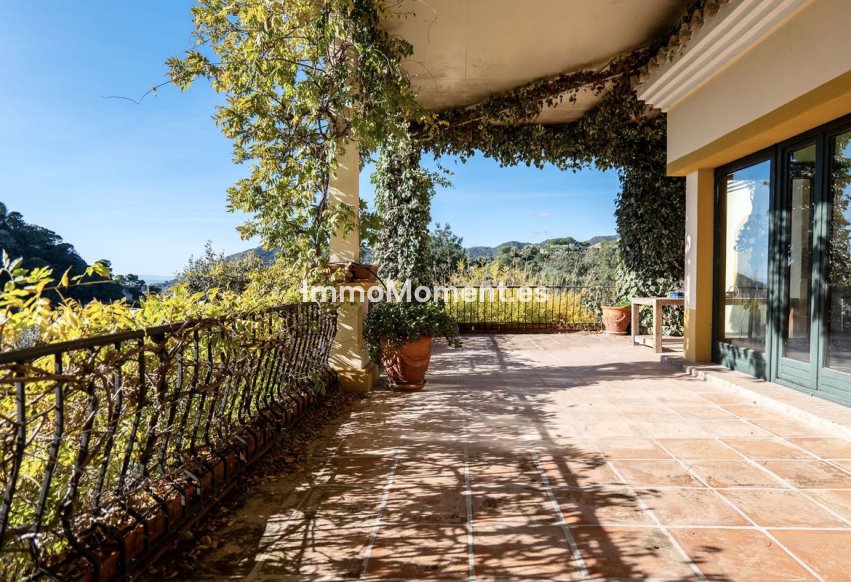 Resale - Detached villa - Benahavís - La Zagaleta