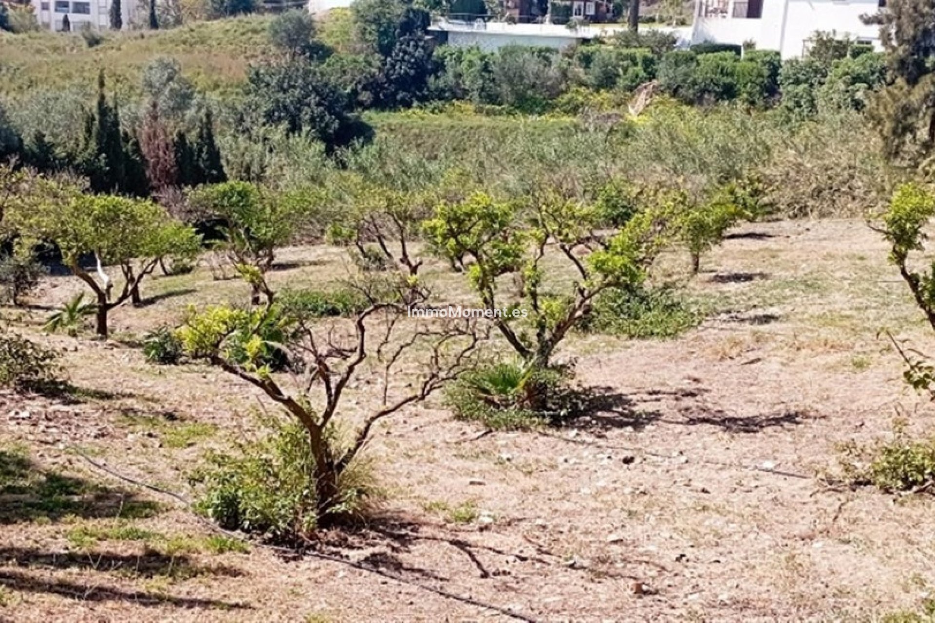 Resale - Detached villa - Benalmadena - Benalmadena Costa