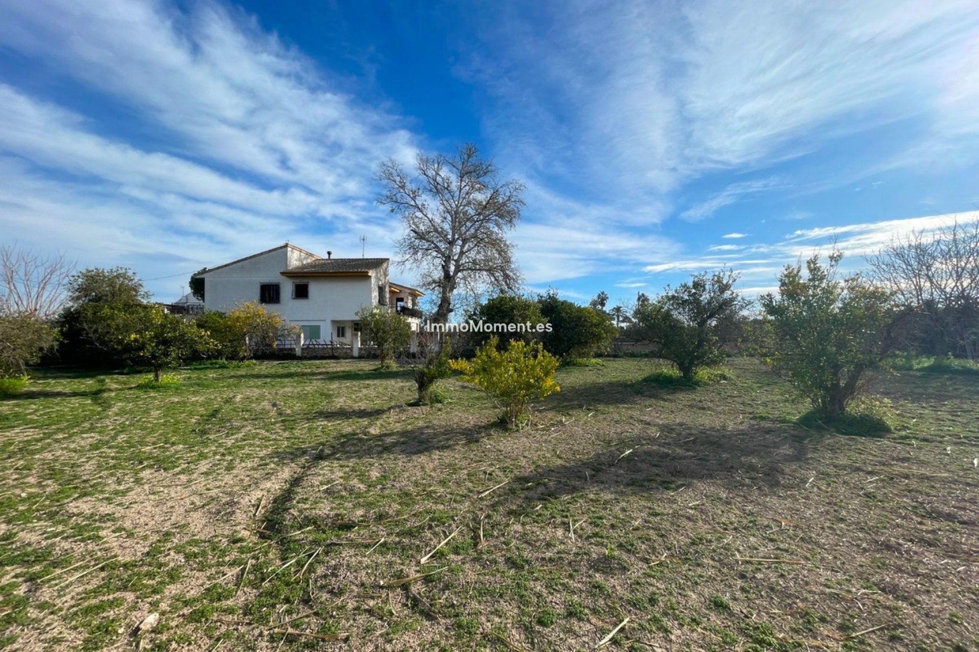 Resale - Detached villa - Benejúzar - Benejuzar Centro