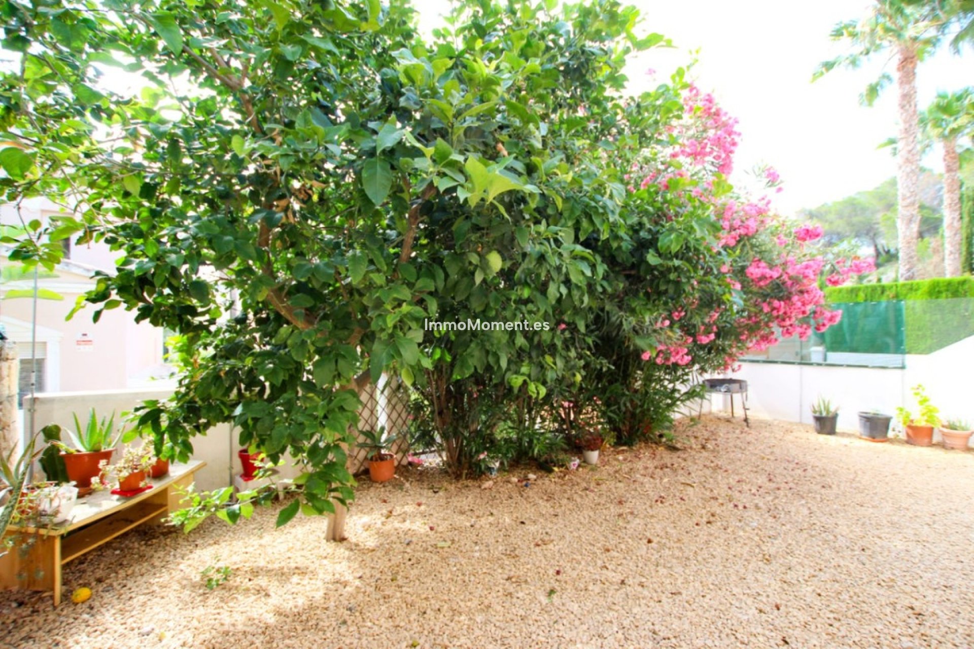 Resale - Detached villa - Calpe - Calpe Centro