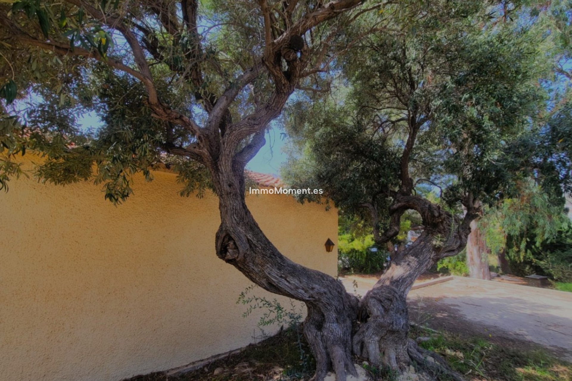 Resale - Detached villa - Calpe - Calpe Centro