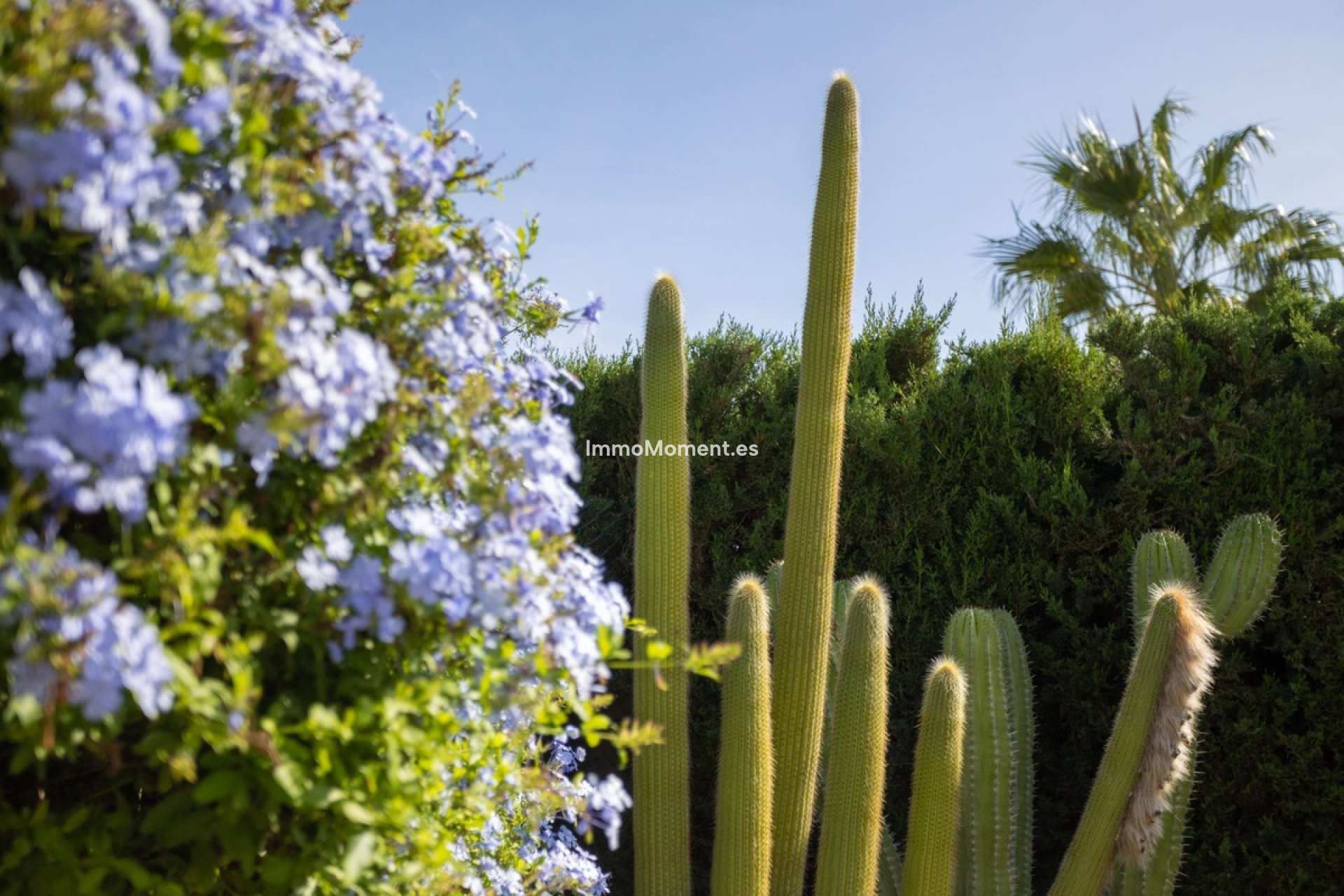 Resale - Detached villa - Cartagena - Playa Honda