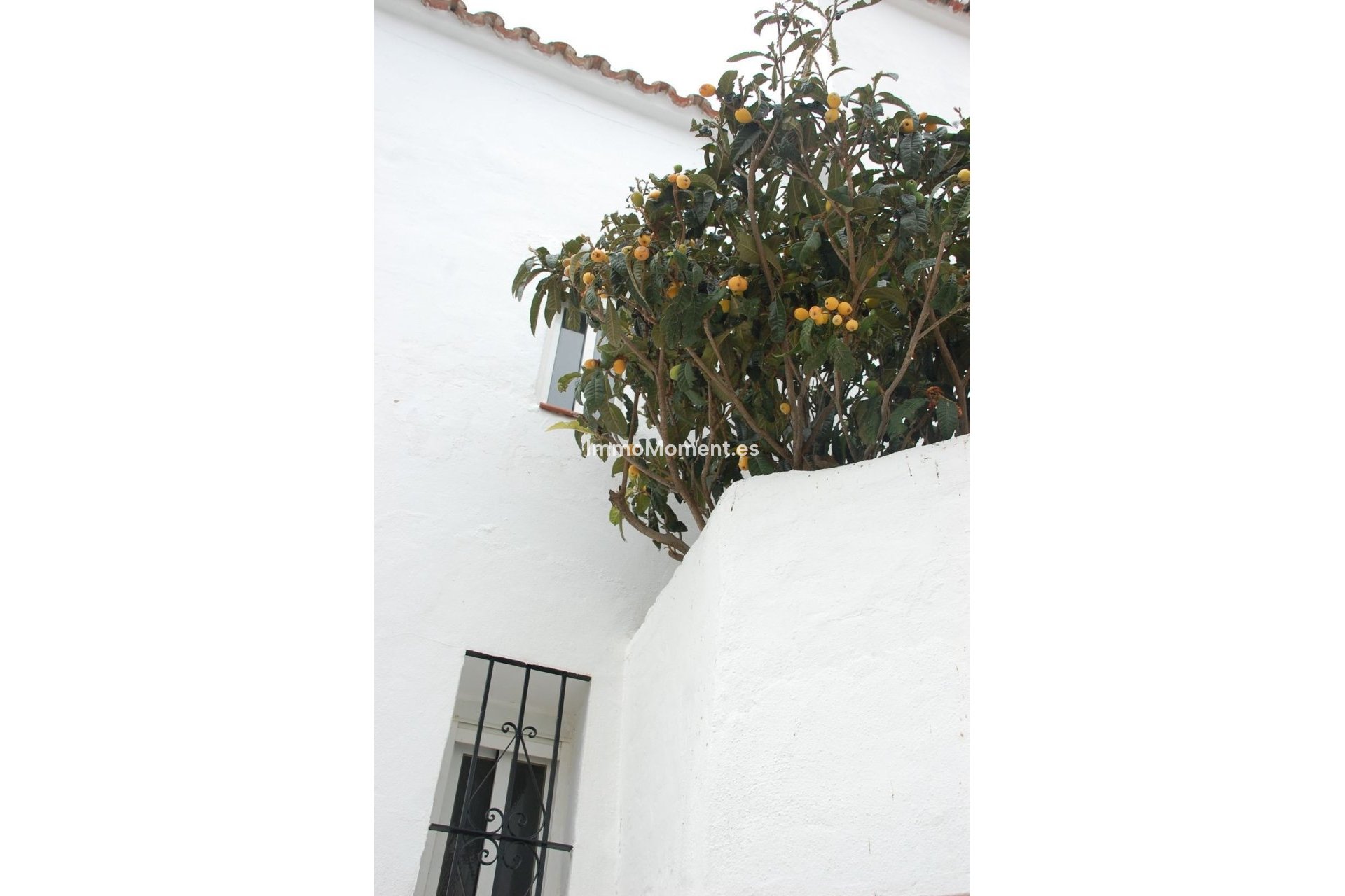Resale - Detached villa - Casares - Casares Centro