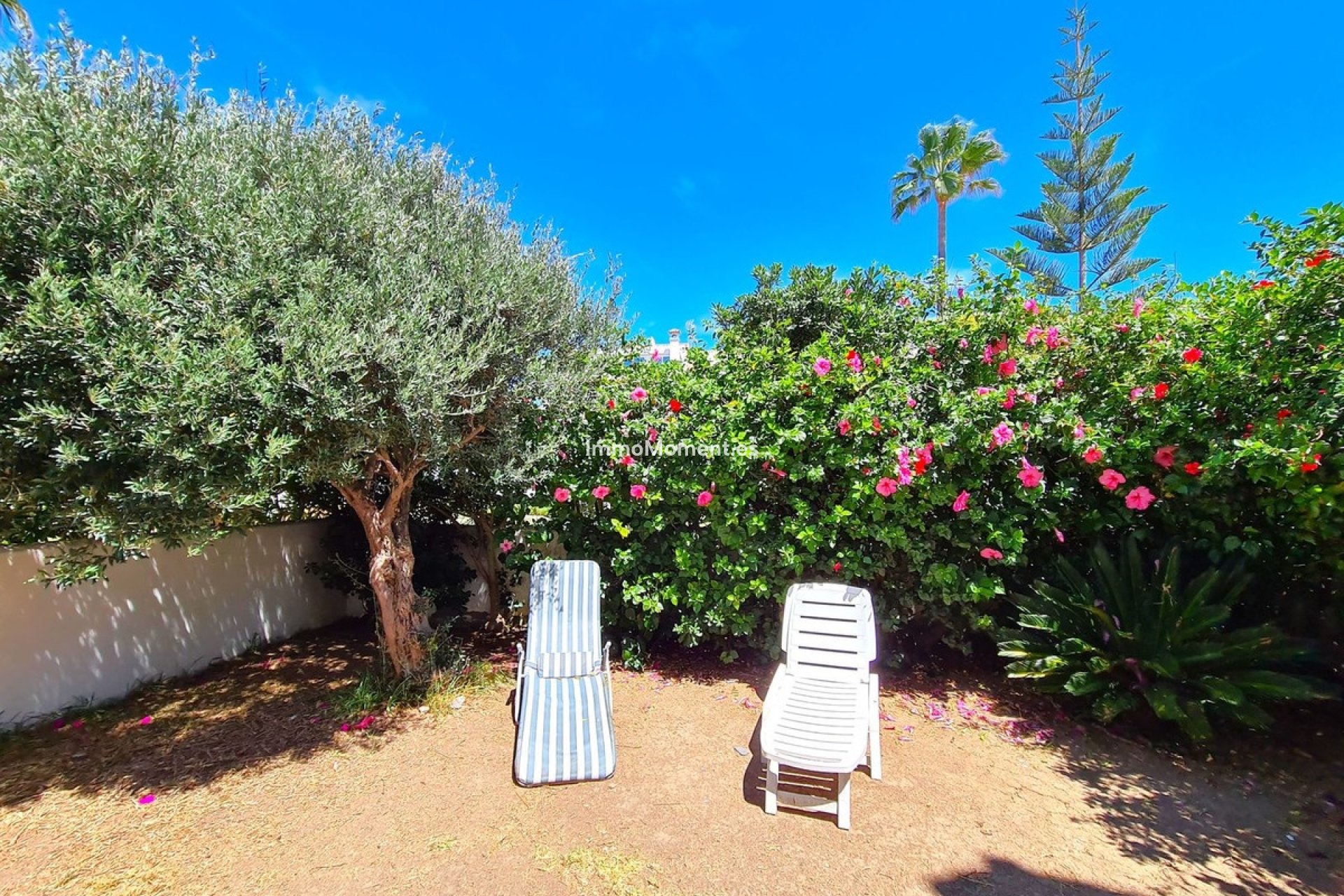Resale - Detached villa - Casares - Casares Playa