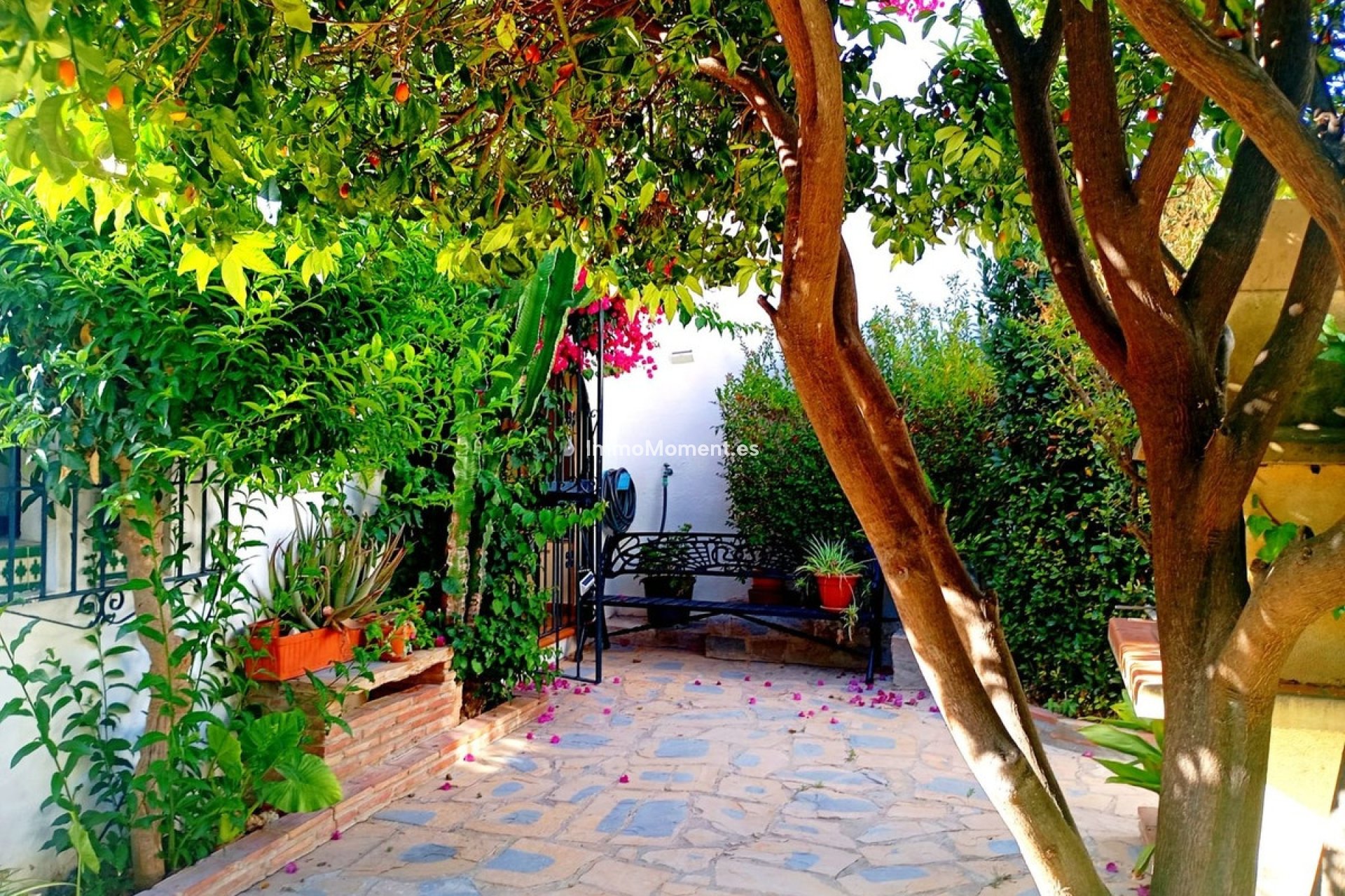 Resale - Detached villa - Casares - Casares Playa