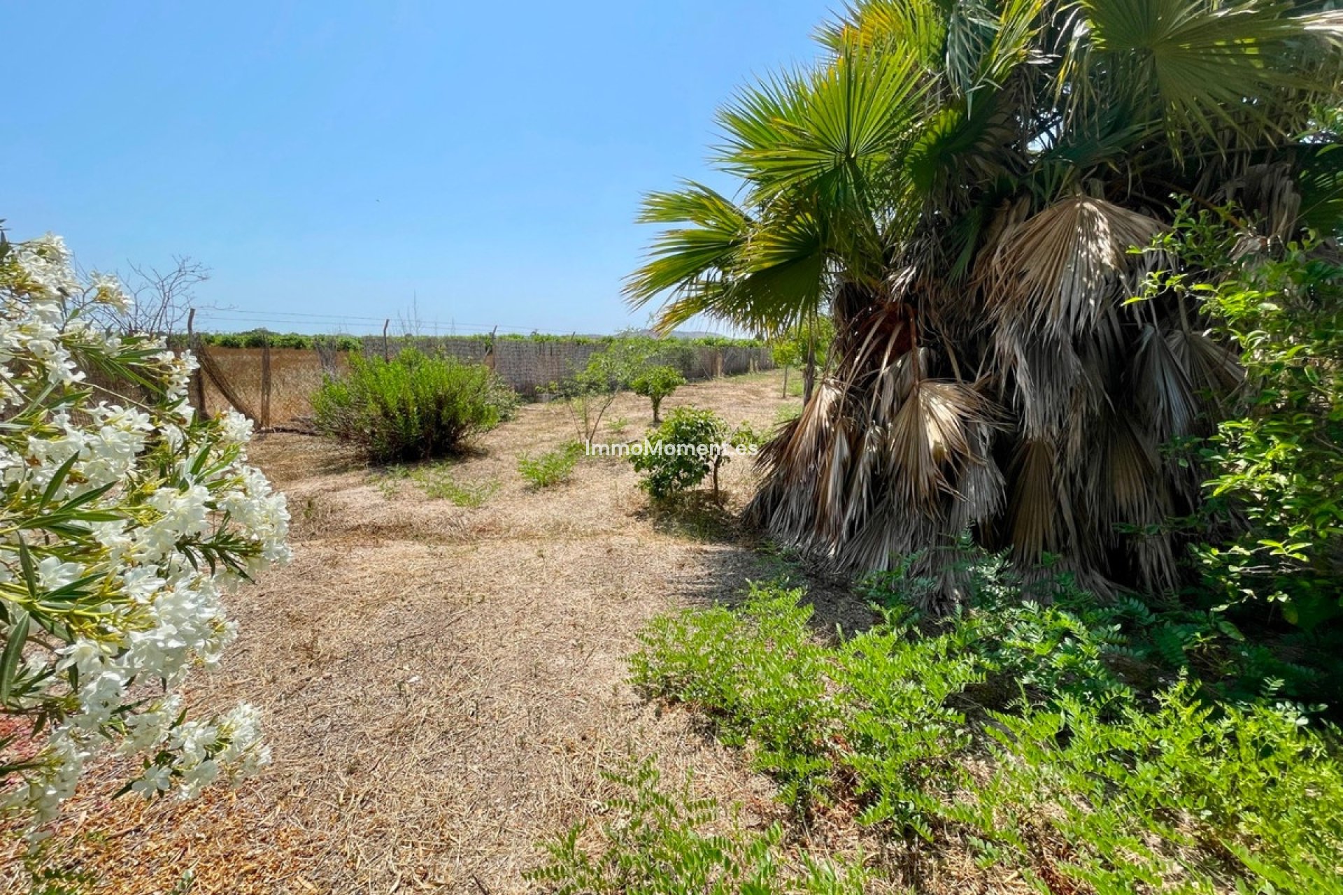 Resale - Detached villa - Daya Nueva - Daya Nueva Centro