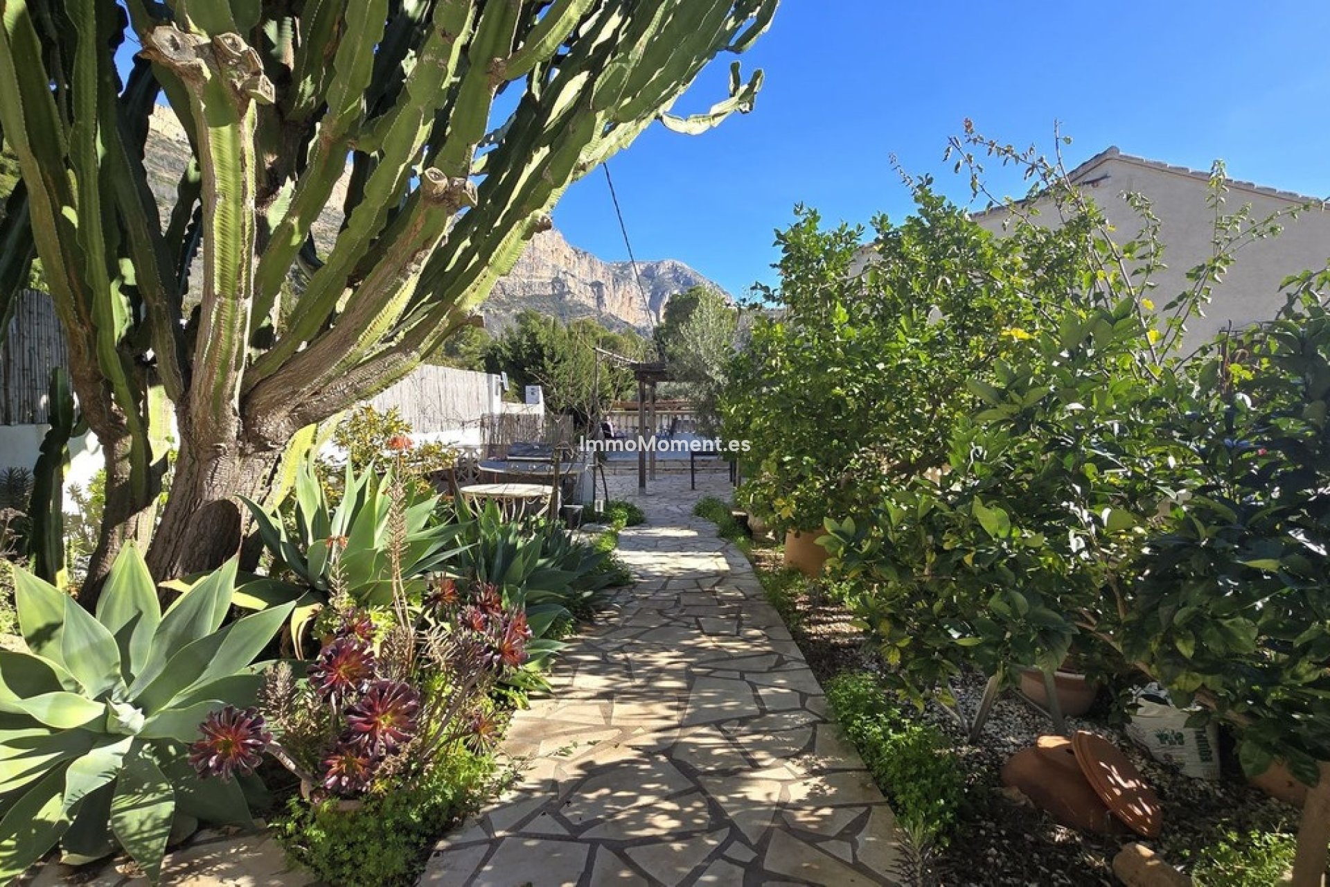 Resale - Detached villa - Denia - Denia Centro