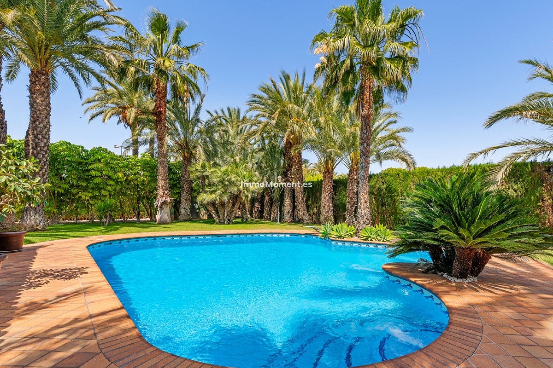Resale - Detached villa - Elche - Elche Centro