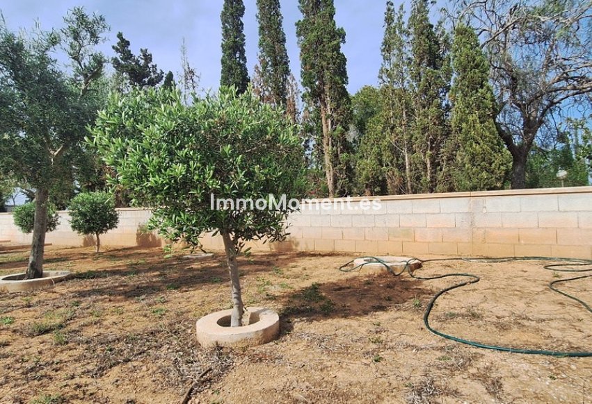 Resale - Detached villa - Elche - Elche Centro