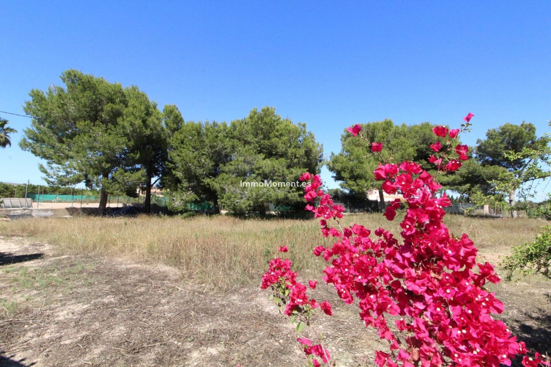 Resale - Detached villa - Elche - Elche Centro