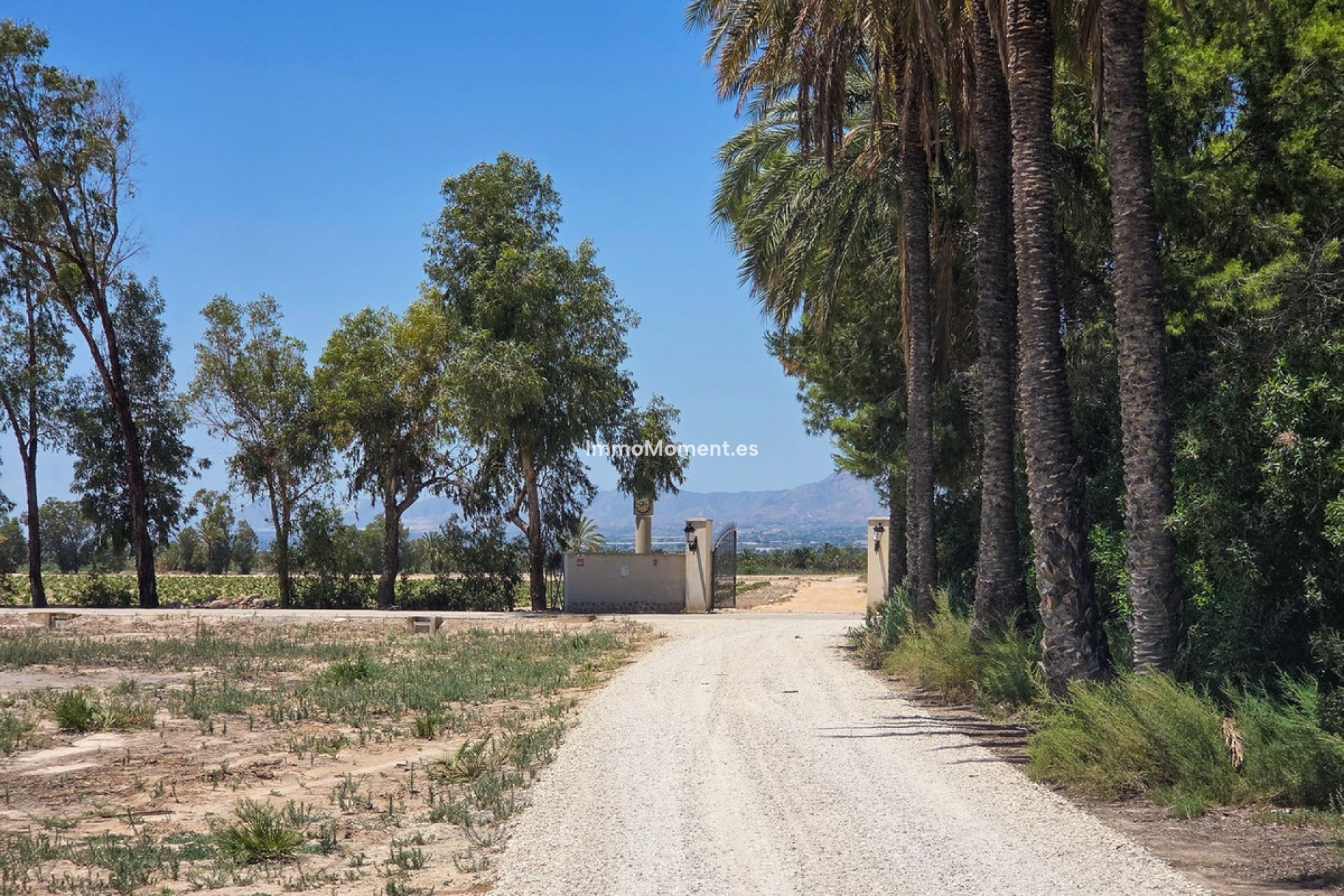 Resale - Detached villa - Elche - Elche Centro