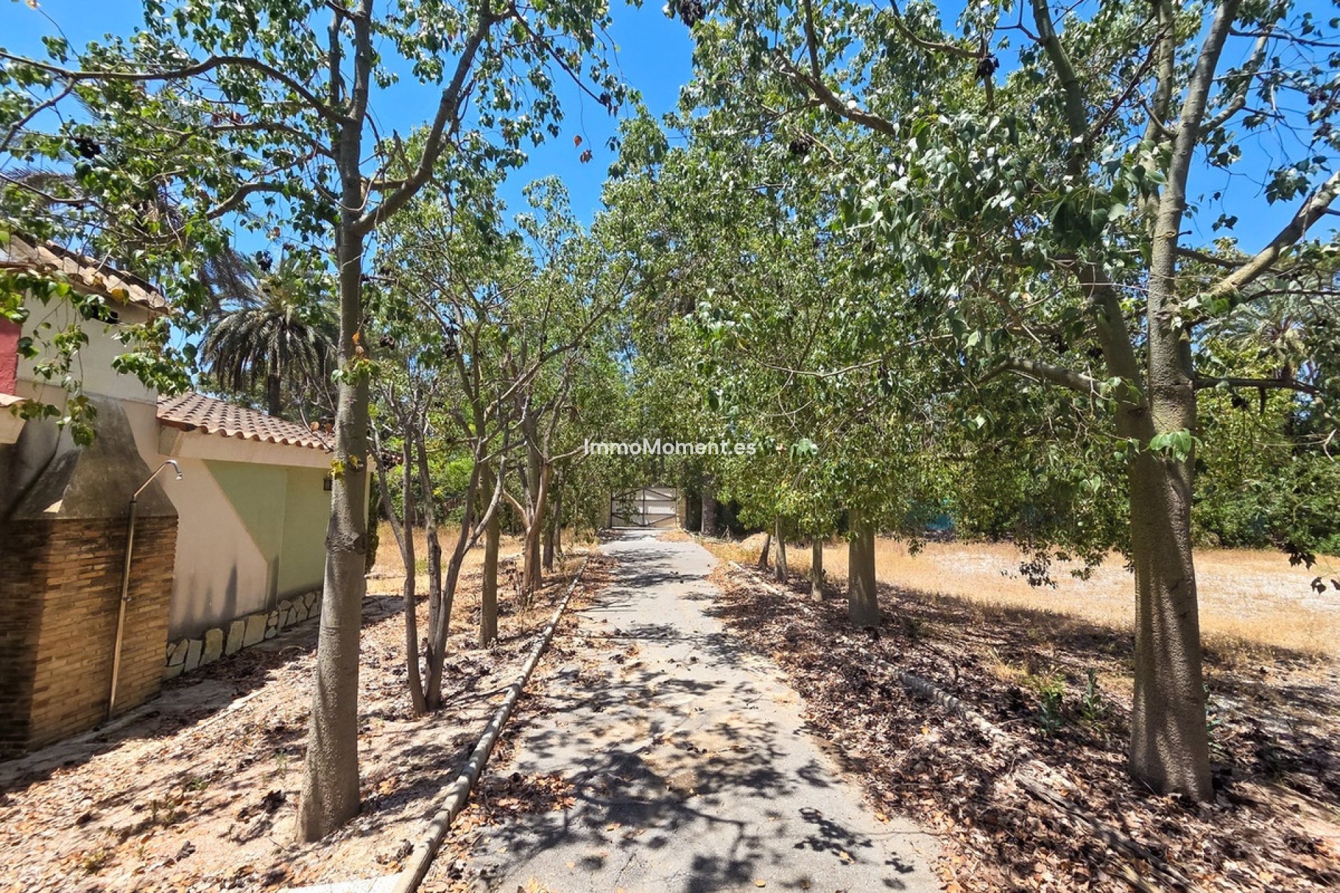 Resale - Detached villa - Elche - Elche Centro
