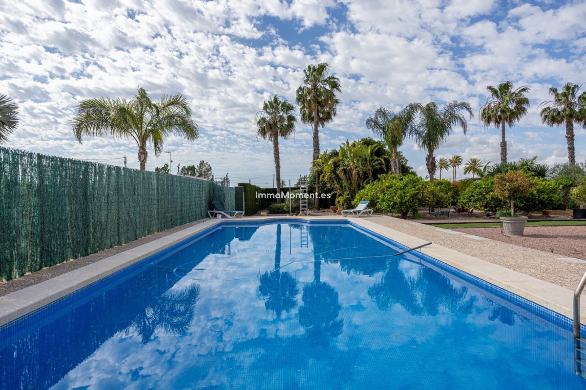 Resale - Detached villa - Elche - La Hoya