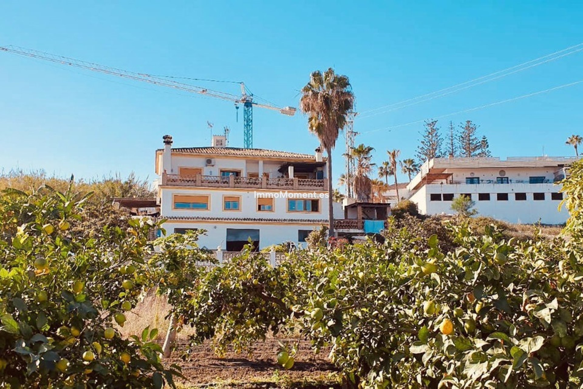 Resale - Detached villa - Estepona - Cancelada