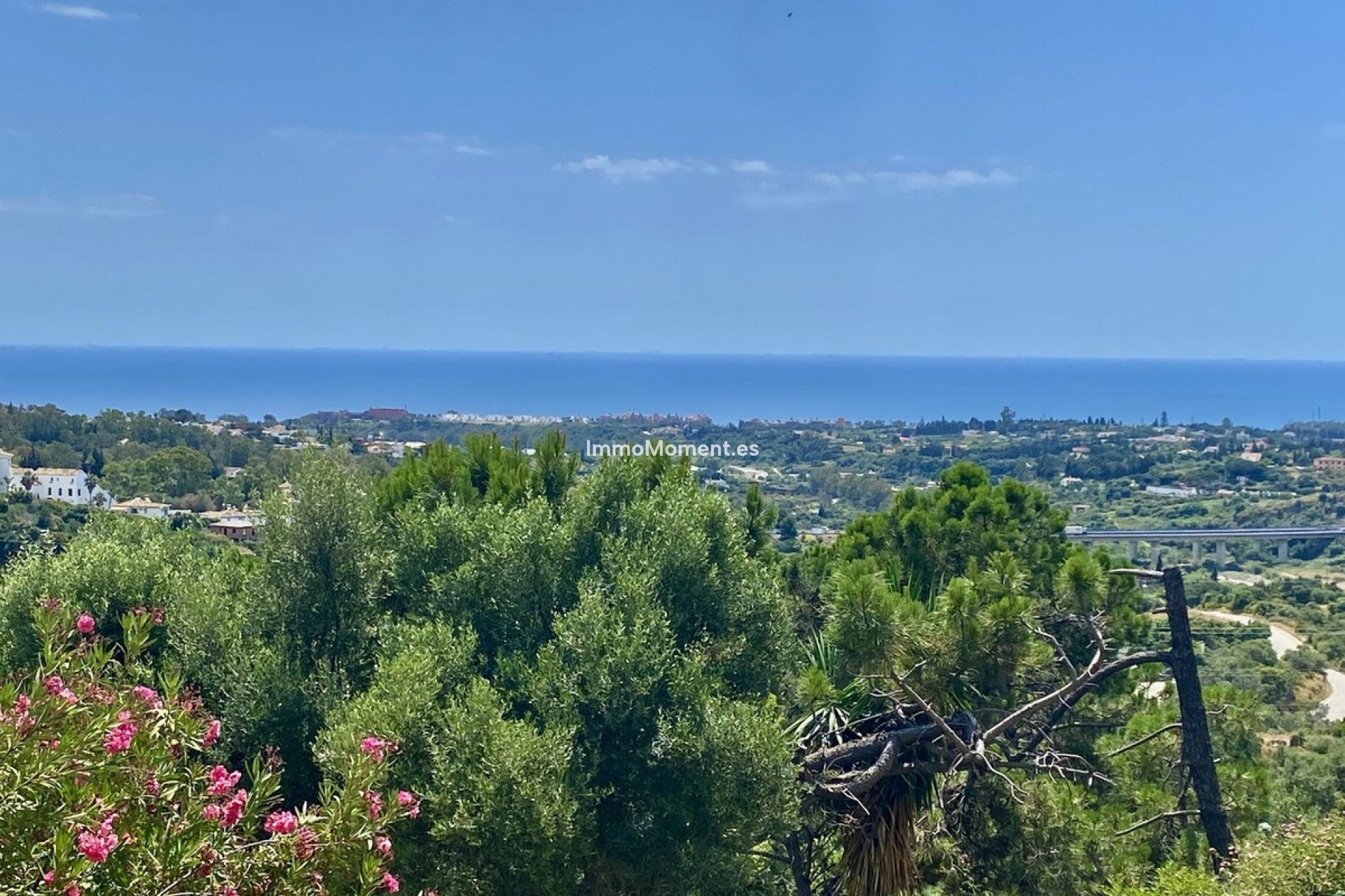 Resale - Detached villa - Estepona - El Padron