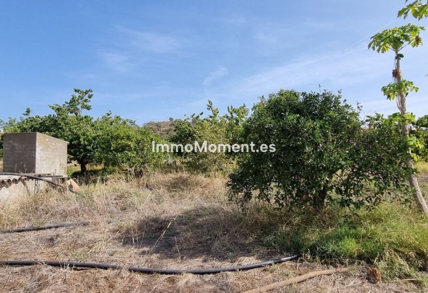 Resale - Detached villa - Estepona - Estepona Centro