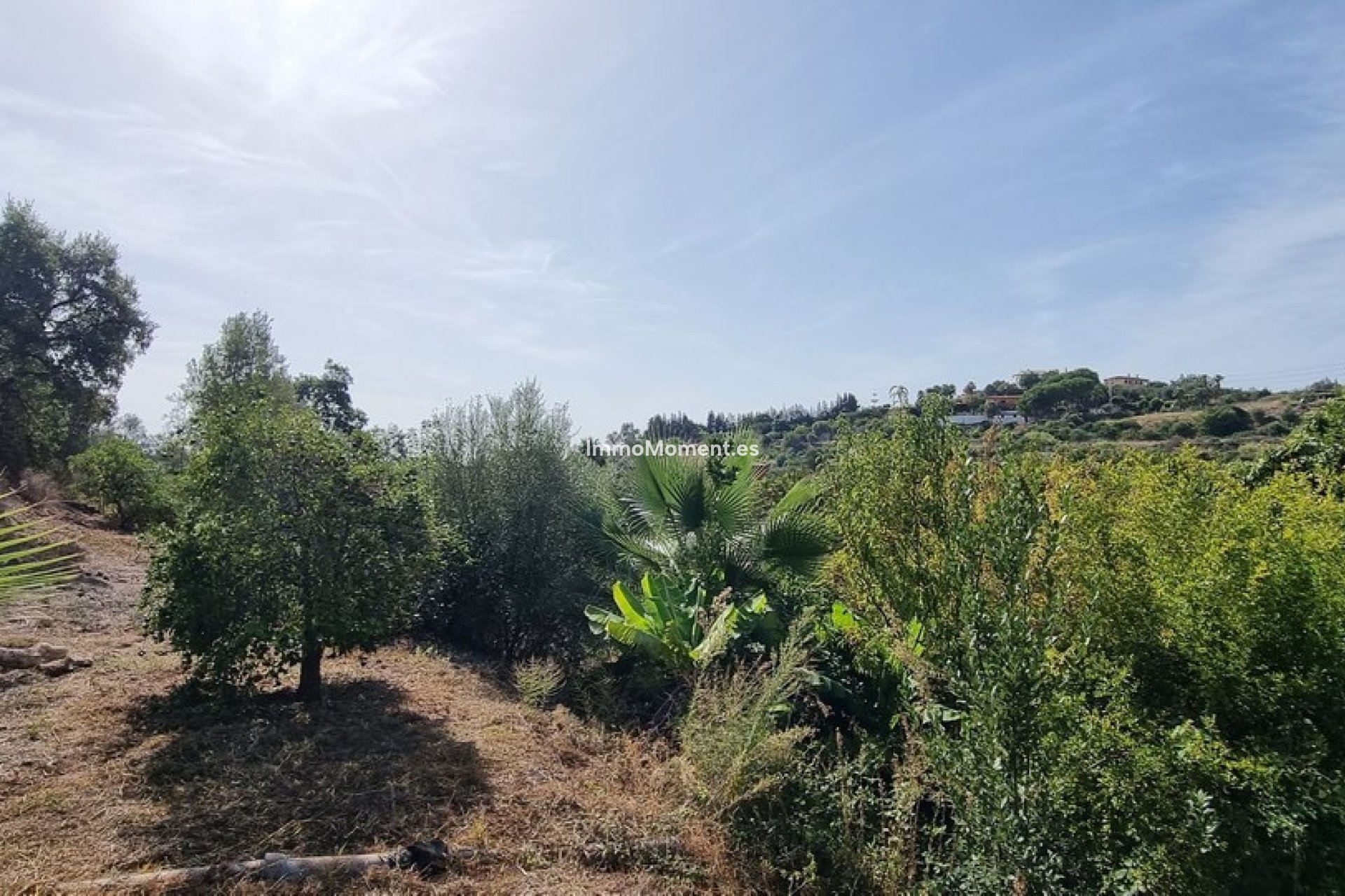 Resale - Detached villa - Estepona - Estepona Centro