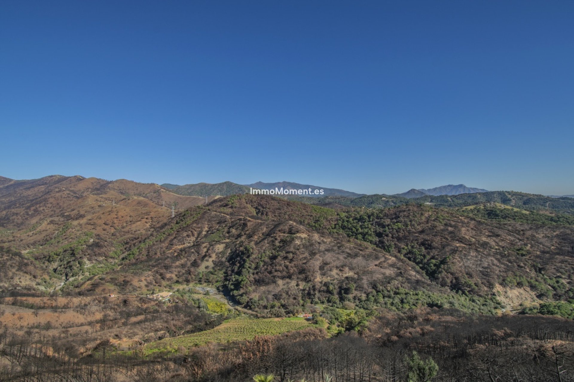 Resale - Detached villa - Estepona - Estepona Centro