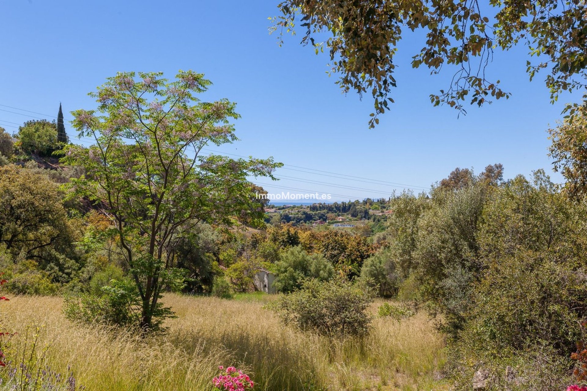 Resale - Detached villa - Estepona - Estepona Centro