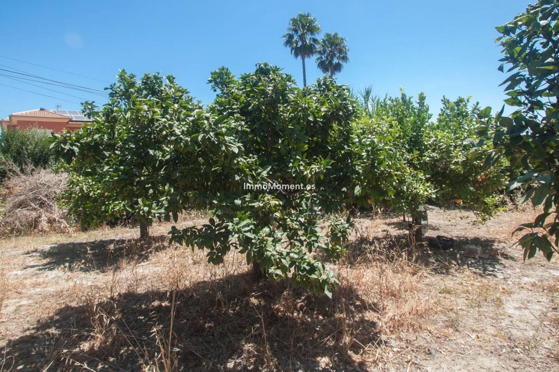 Resale - Detached villa - Estepona - Estepona Centro