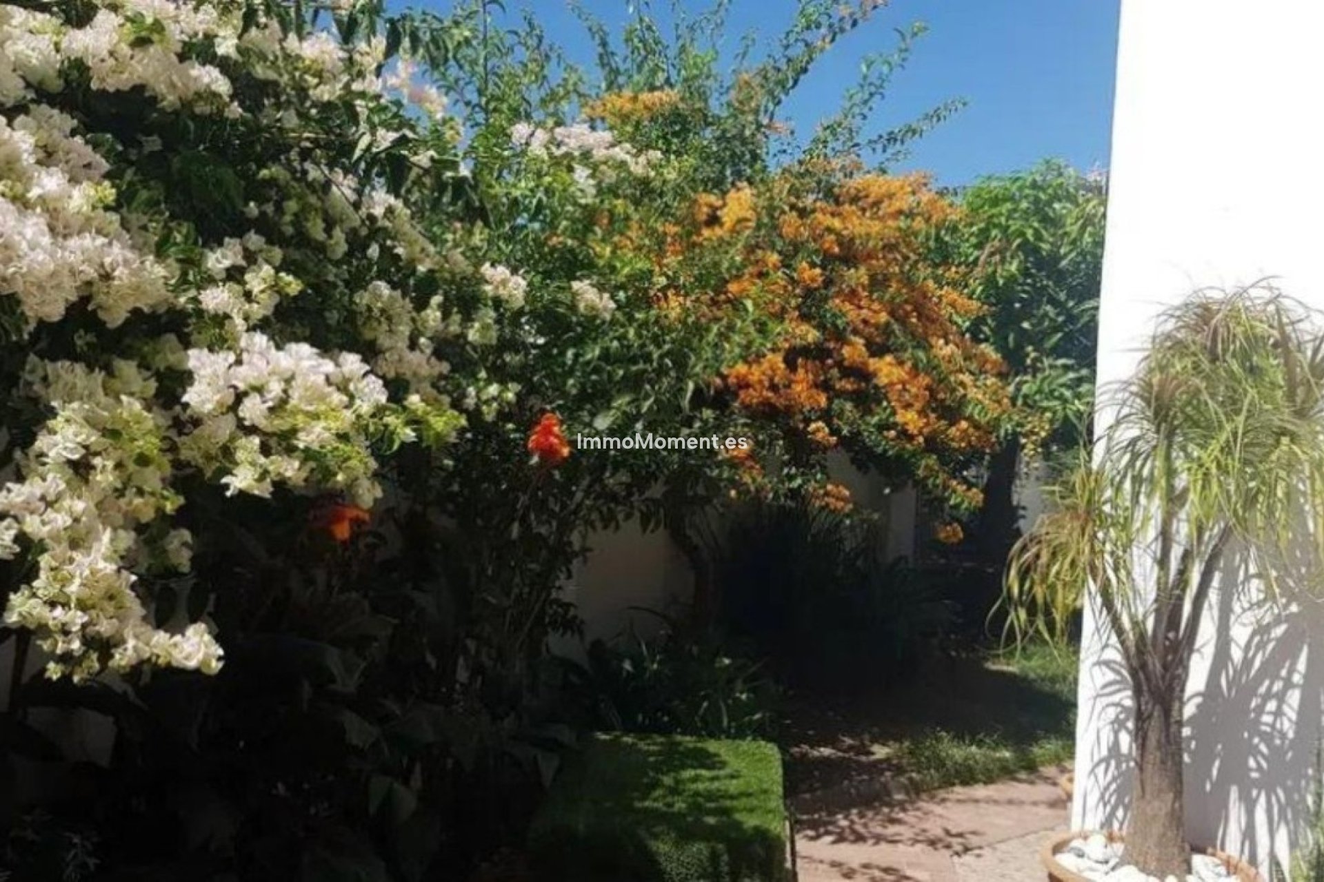 Resale - Detached villa - Estepona - Estepona Centro
