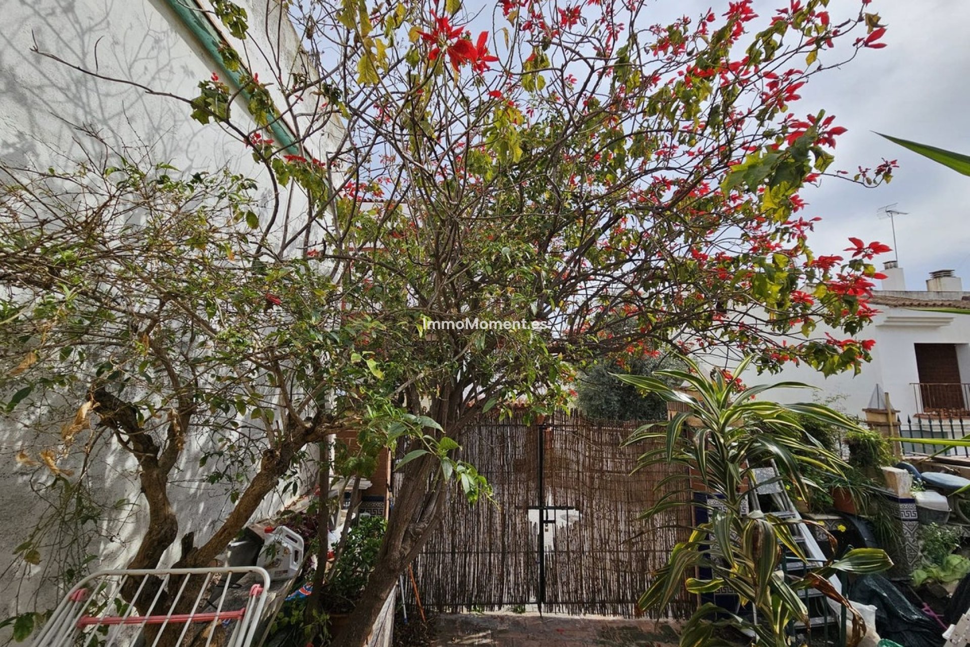 Resale - Detached villa - Estepona - Estepona Centro