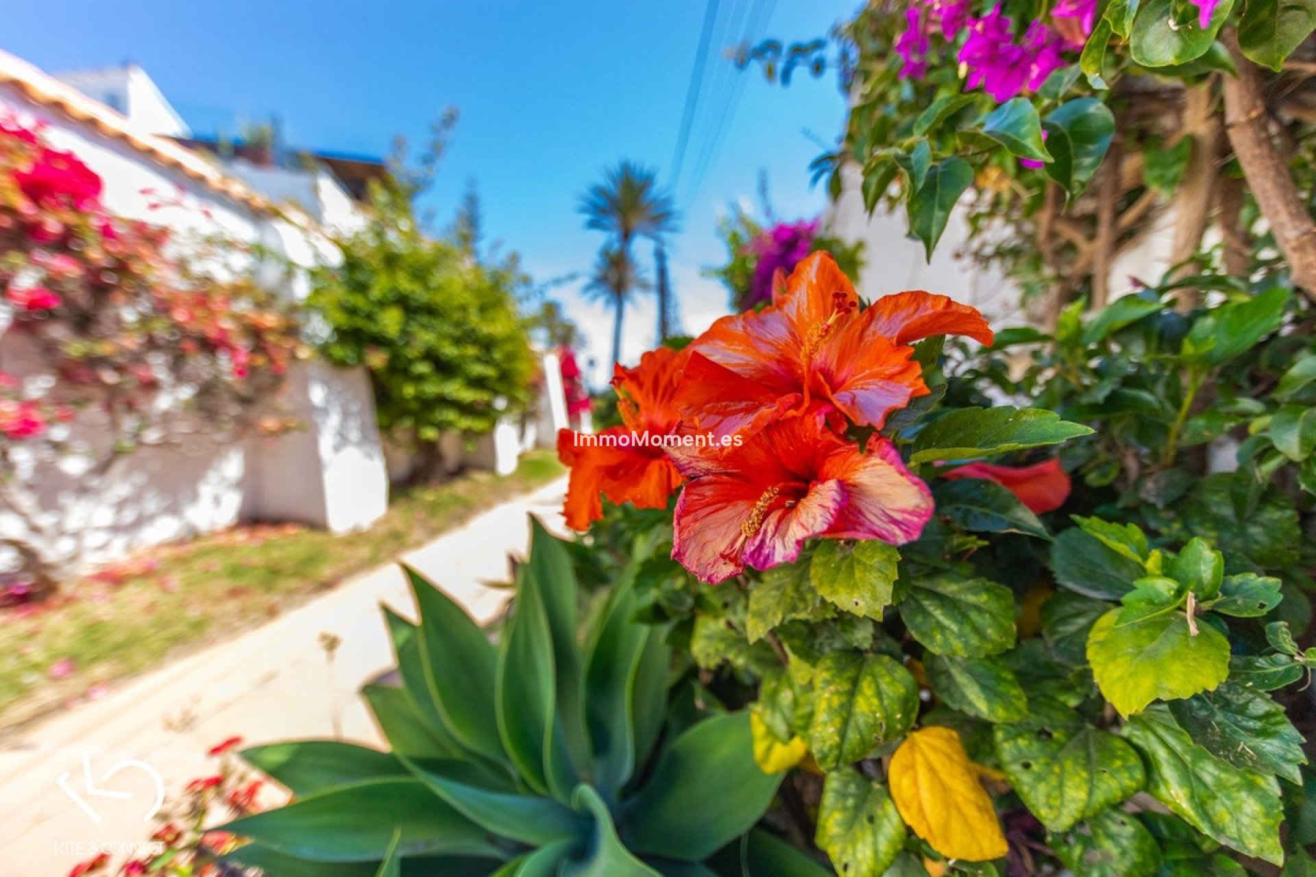 Resale - Detached villa - Estepona - Estepona Centro