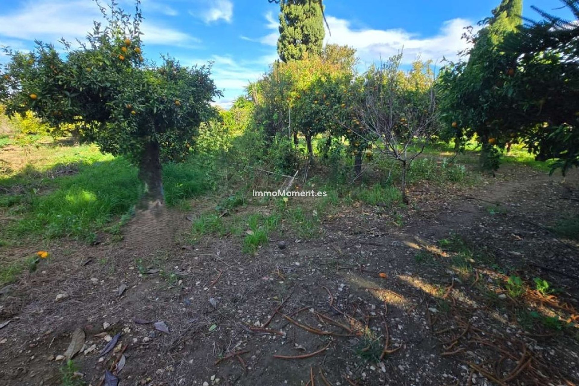 Resale - Detached villa - Inland  - Alhaurín de la Torre