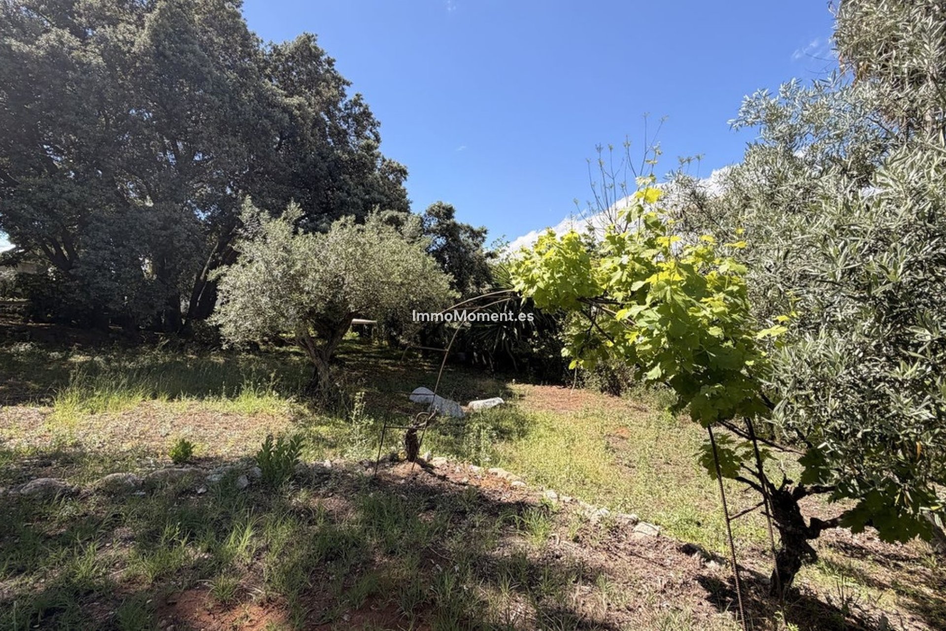 Resale - Detached villa - Inland  - Alhaurín el Grande Centro
