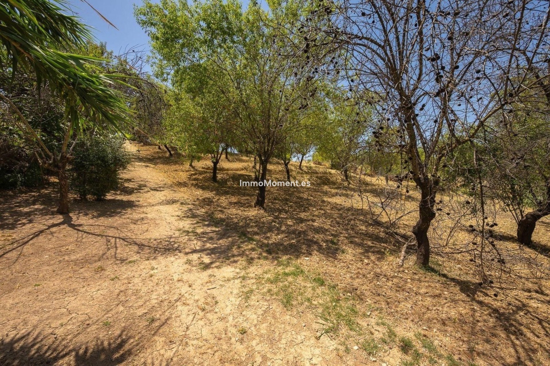 Resale - Detached villa - Inland  - Alhaurín el Grande Centro